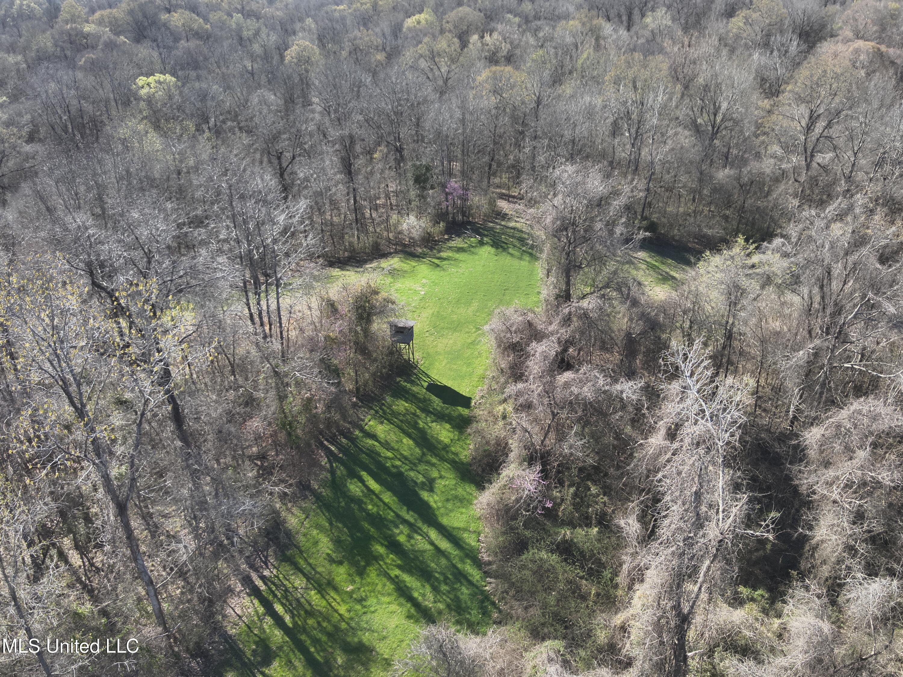 2936 Smith Rd Road Property Photo 17