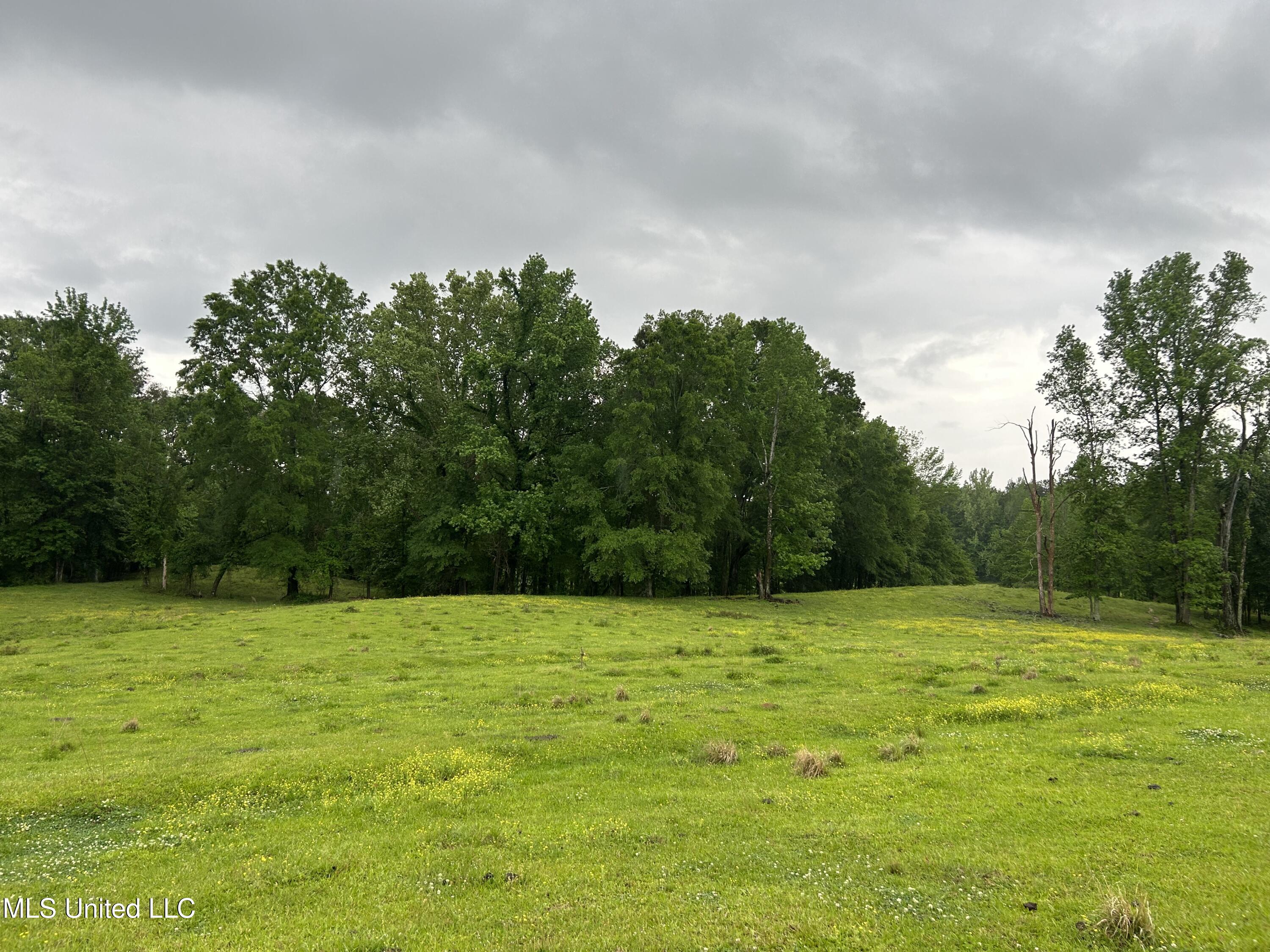 Hwy 45 N Property Photo 4