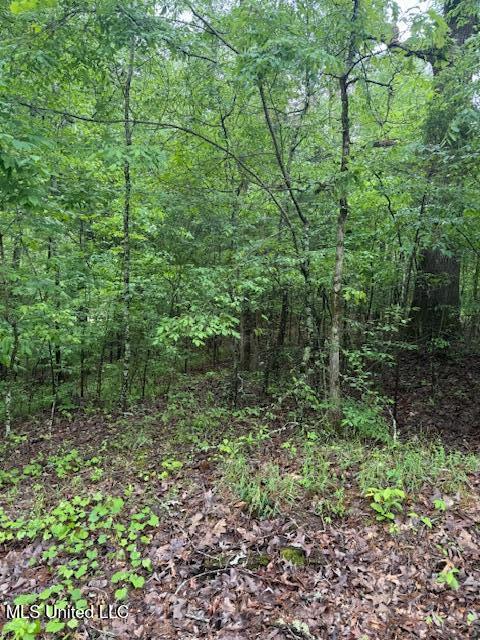 Lot 71 Block B Holiday Hills Property Photo 1