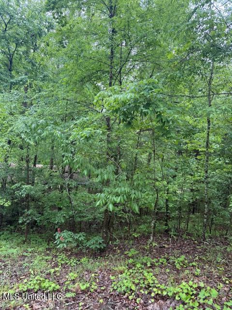 Lot 72 Block B Holiday Hills Property Photo 1