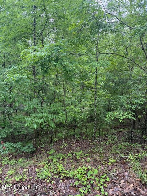 Lot 72 Block B Holiday Hills Property Photo 3