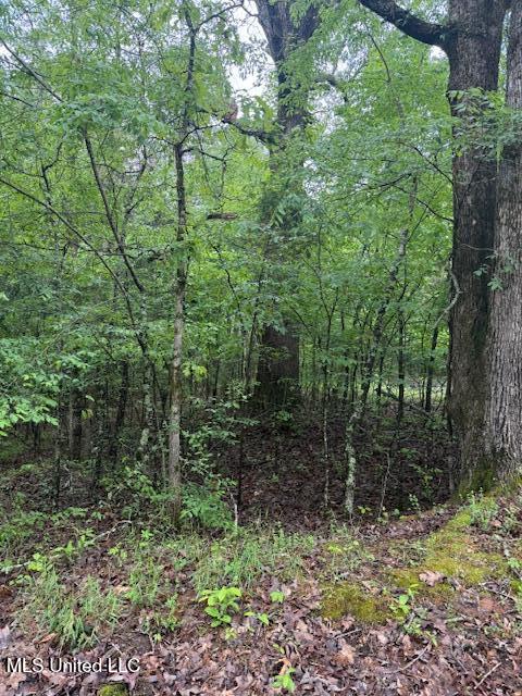 Lot 72 Block B Holiday Hills Property Photo 4