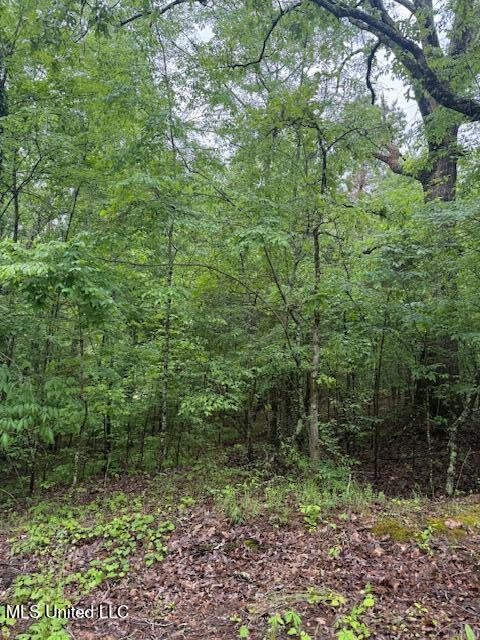 Lot 72 Block B Holiday Hills Property Photo 5