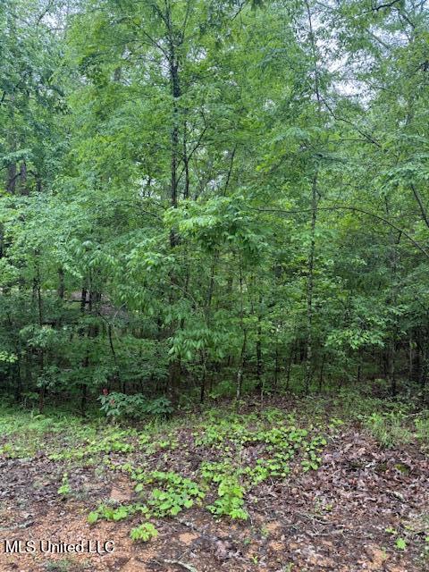 Lot 72 Block B Holiday Hills Property Photo 6