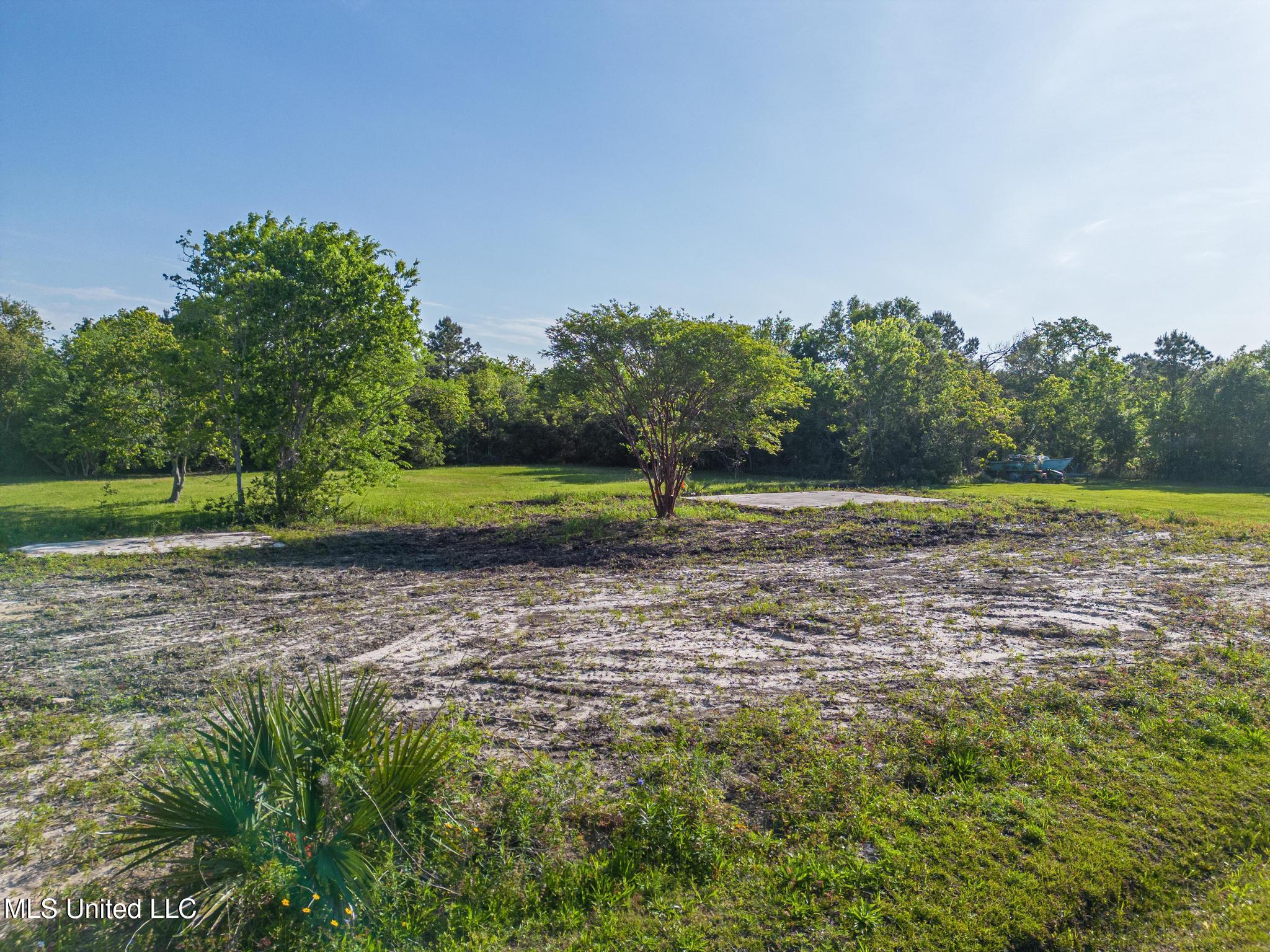 1403 Dunbar Avenue Property Photo 6