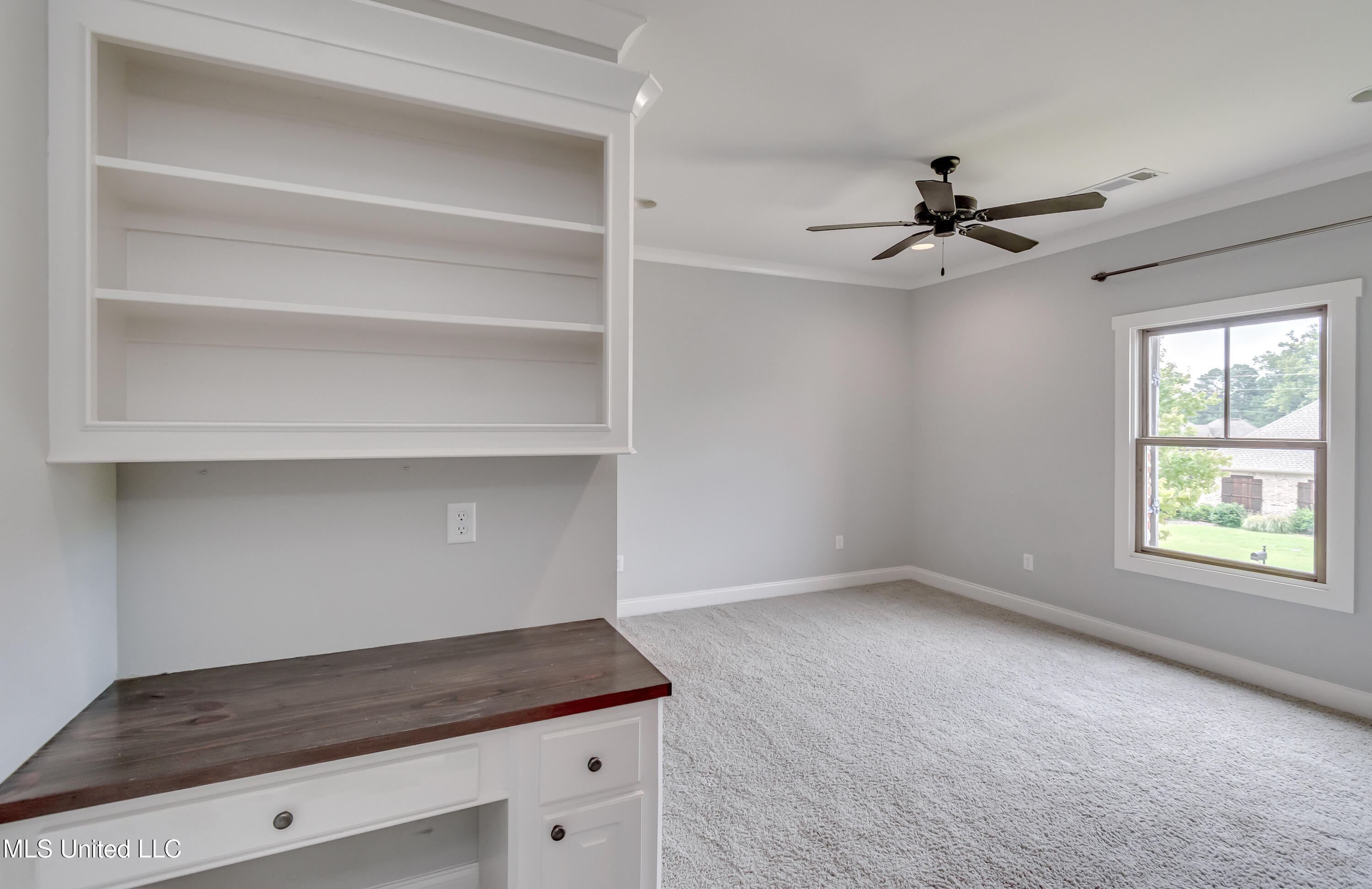 233 Arbor Trail Property Photo 49