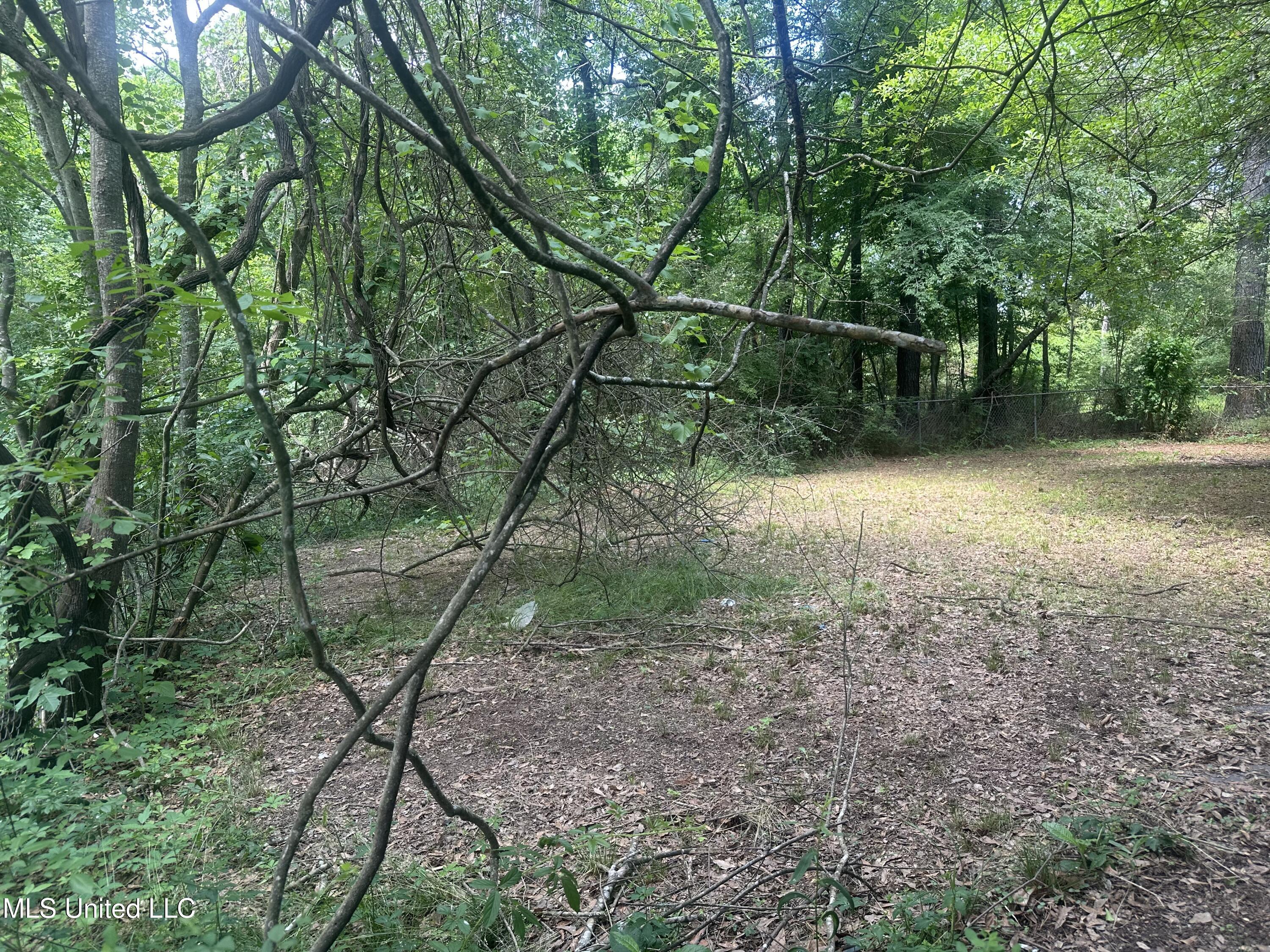 721 Glenmont Drive Property Photo 28