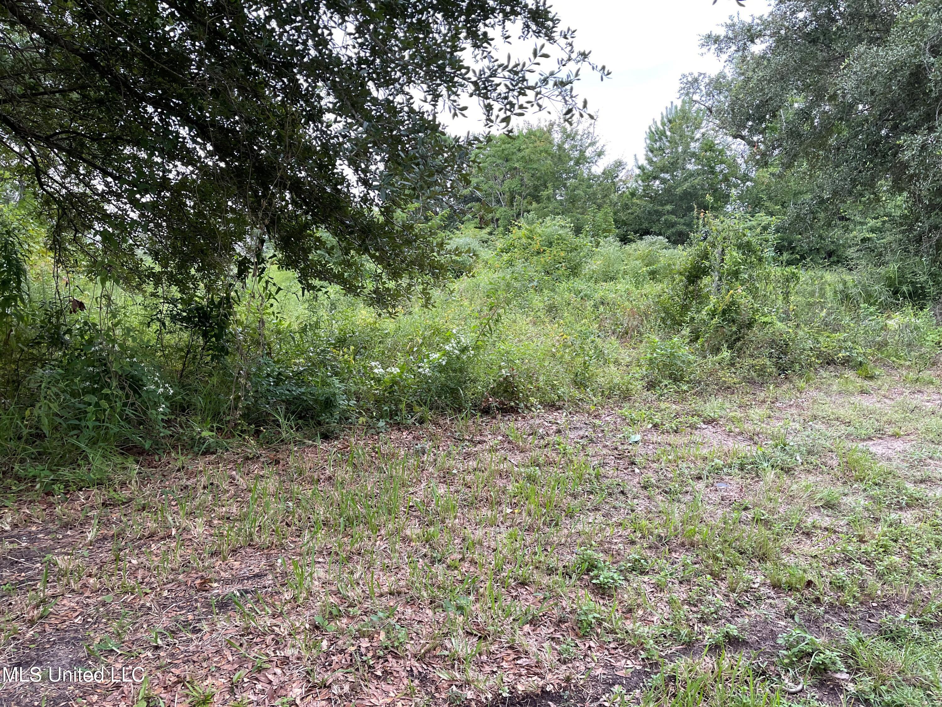 9237 Seacliff Boulevard Property Photo 1