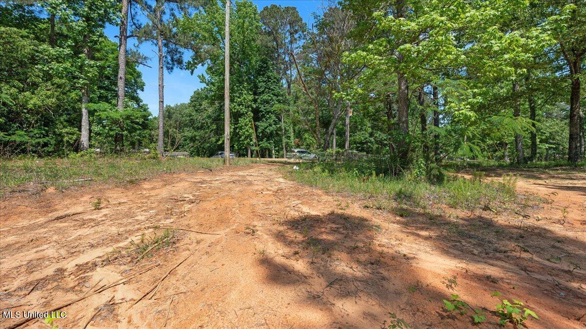 510 Jared Drive Property Photo 2
