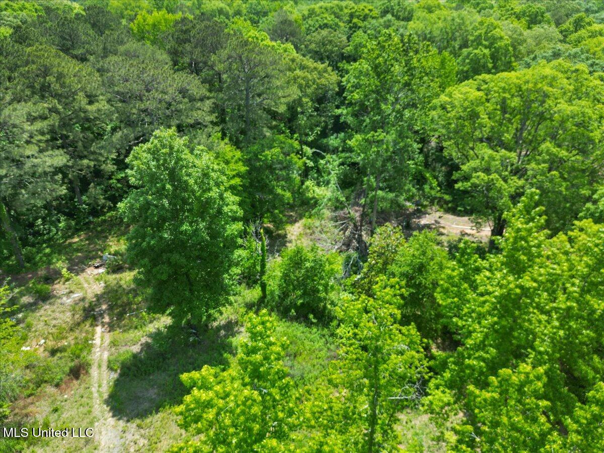 510 Jared Drive Property Photo 11