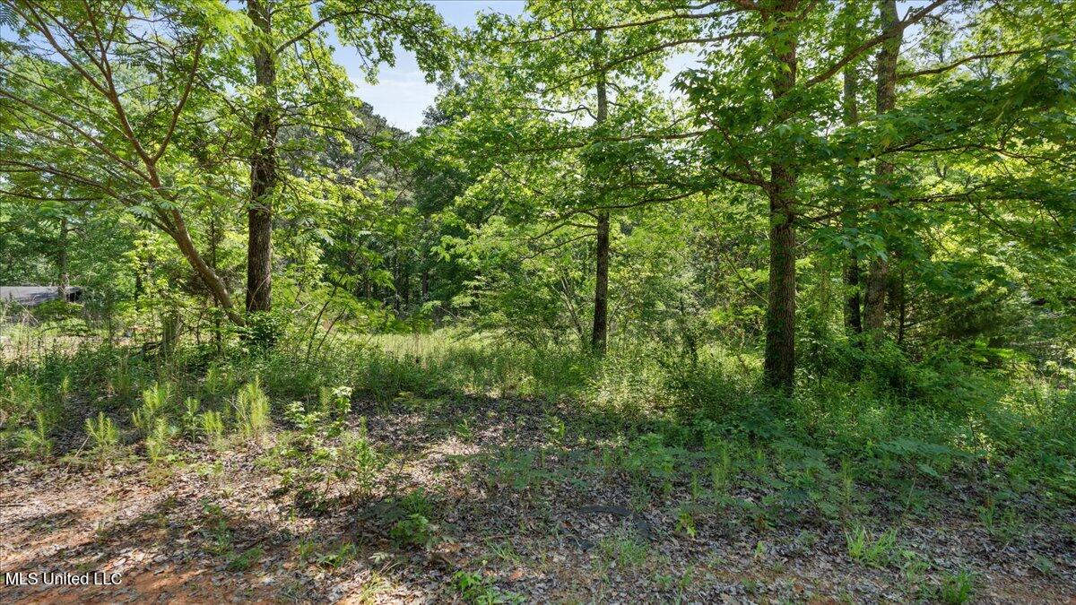 510 Jared Drive Property Photo 16