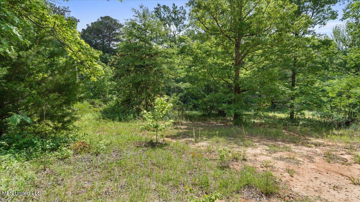 510 Jared Drive Property Photo 17