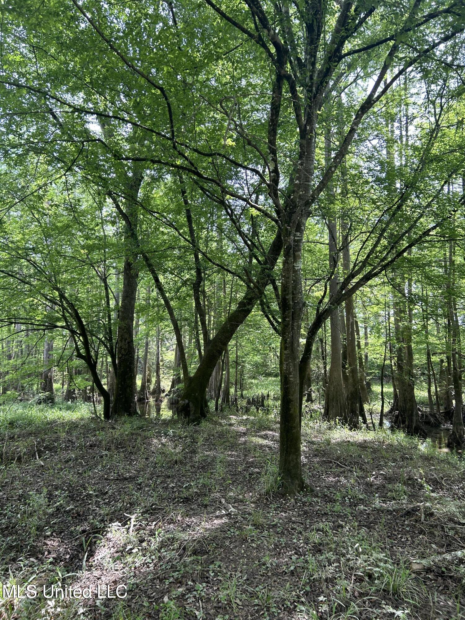 Us-98 Property Photo 14