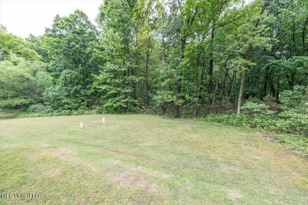 223 Fawn Cove Property Photo 41