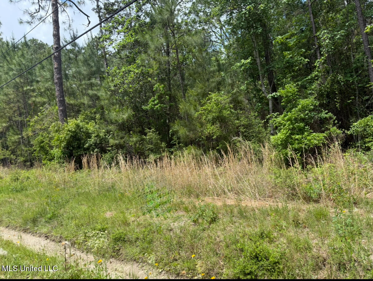 W Adams Street Property Photo 1