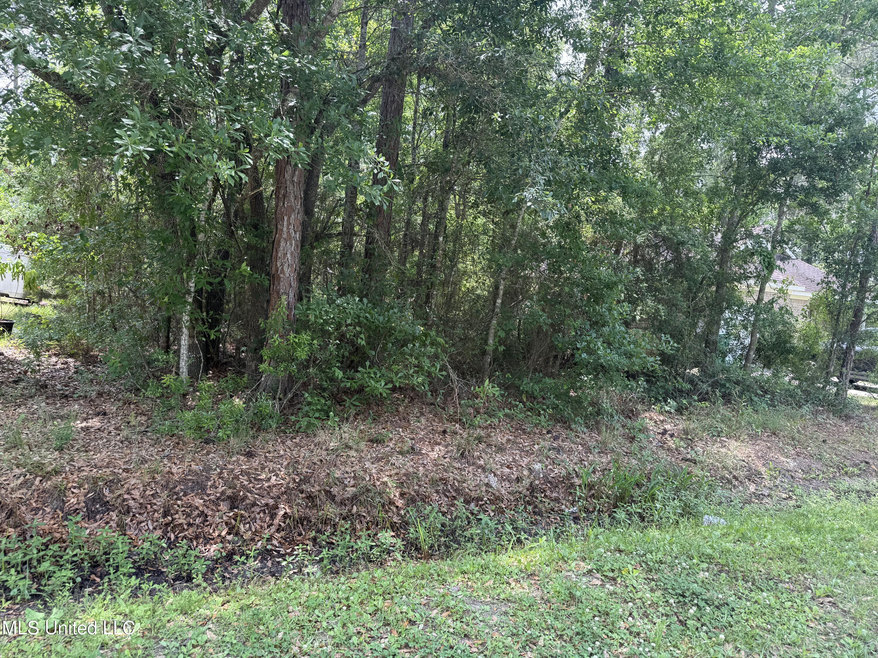 E Jackson Street Property Photo 1