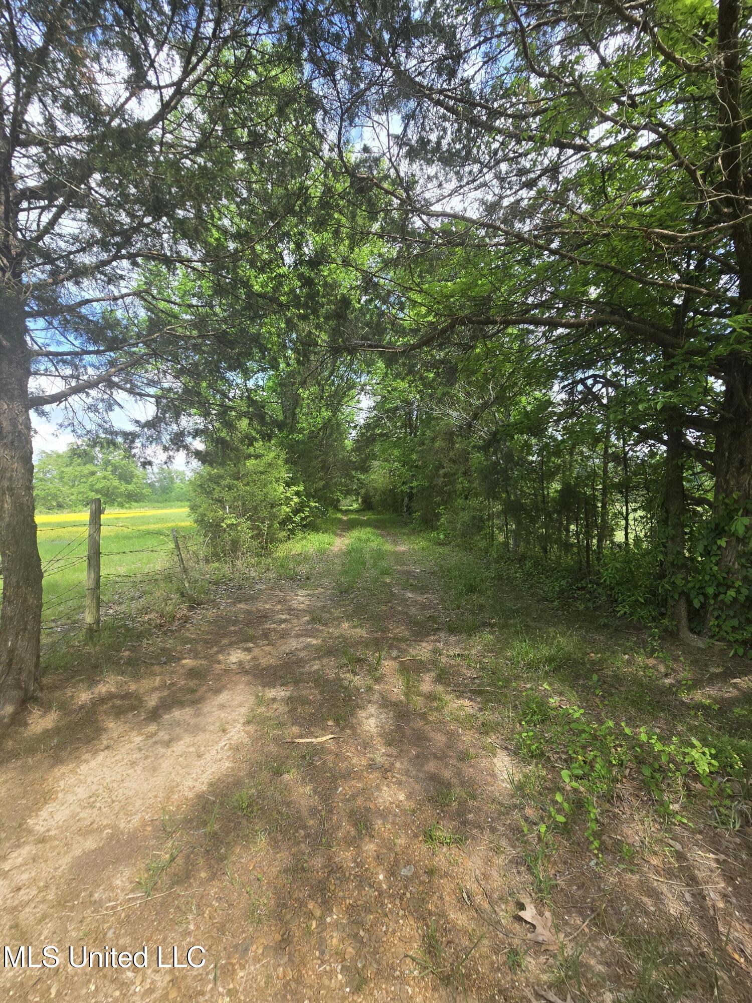 Laughter Road Property Photo 2