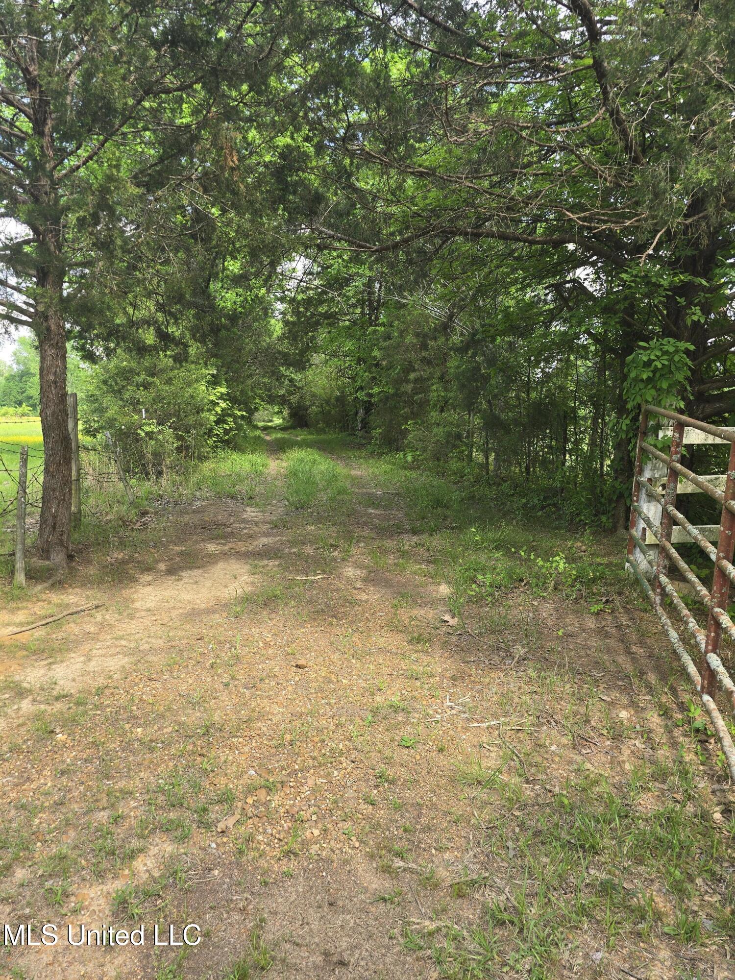 Laughter Road Property Photo 3