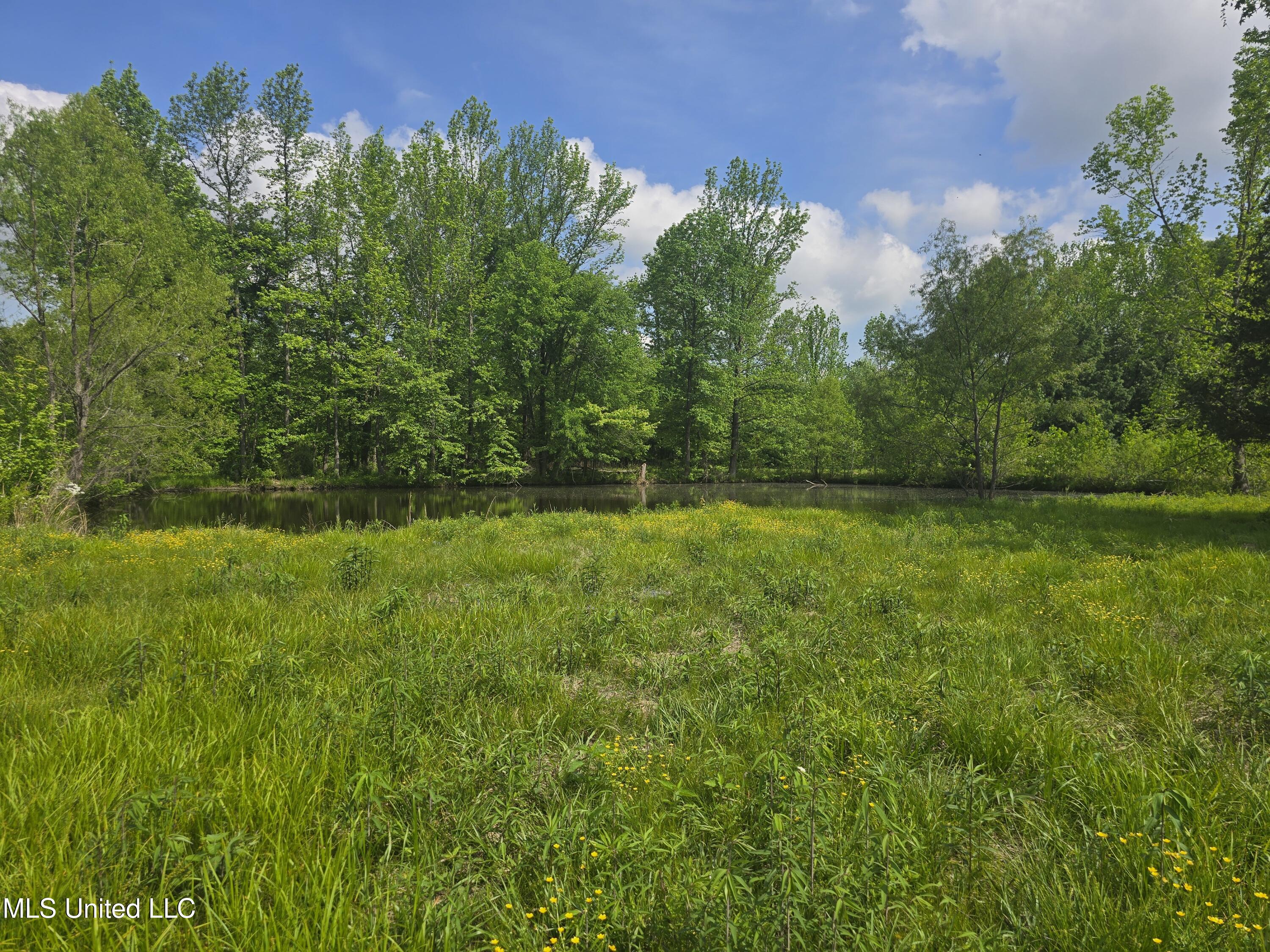 Laughter Road Property Photo 5