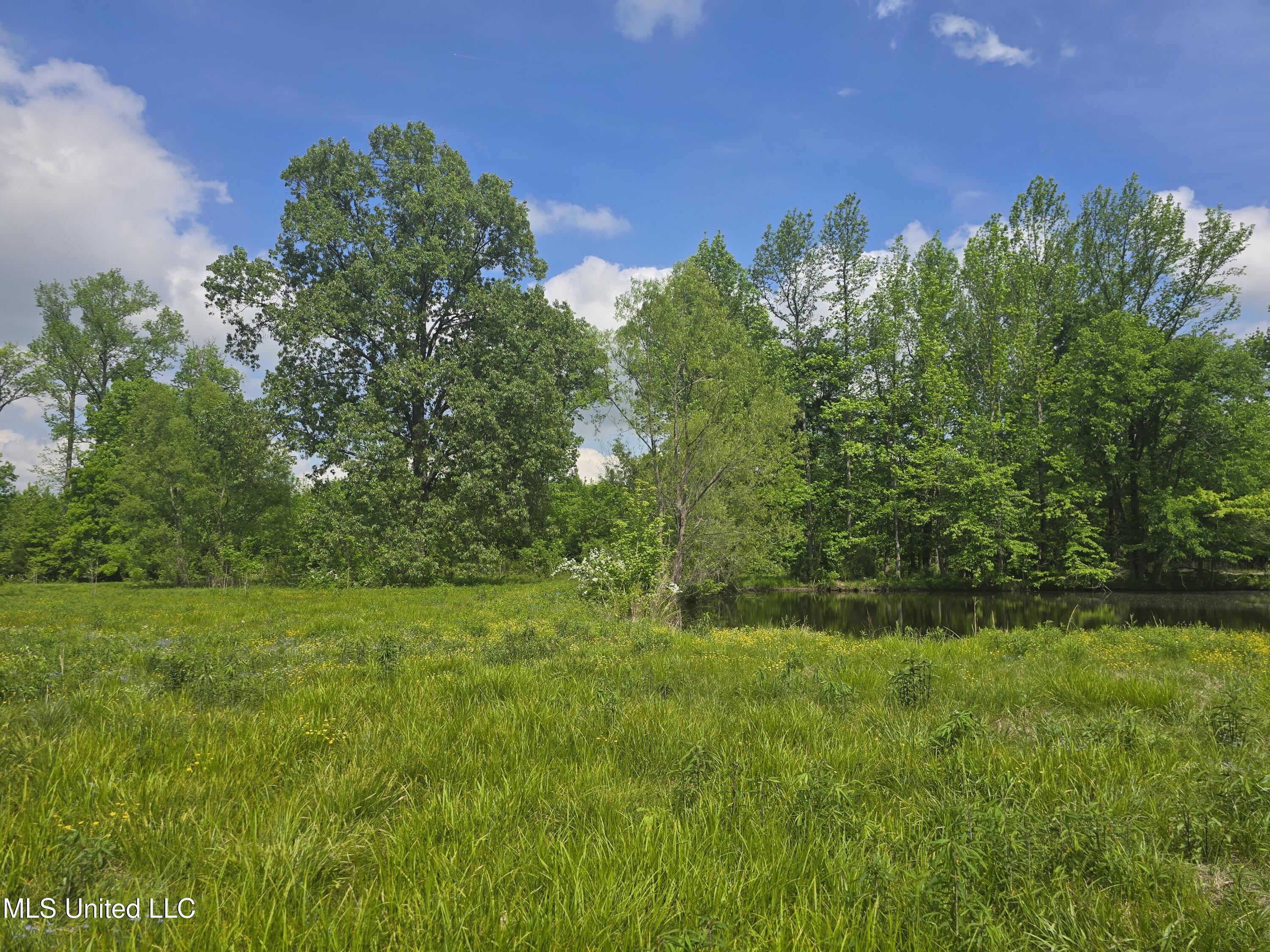 Laughter Road Property Photo 6