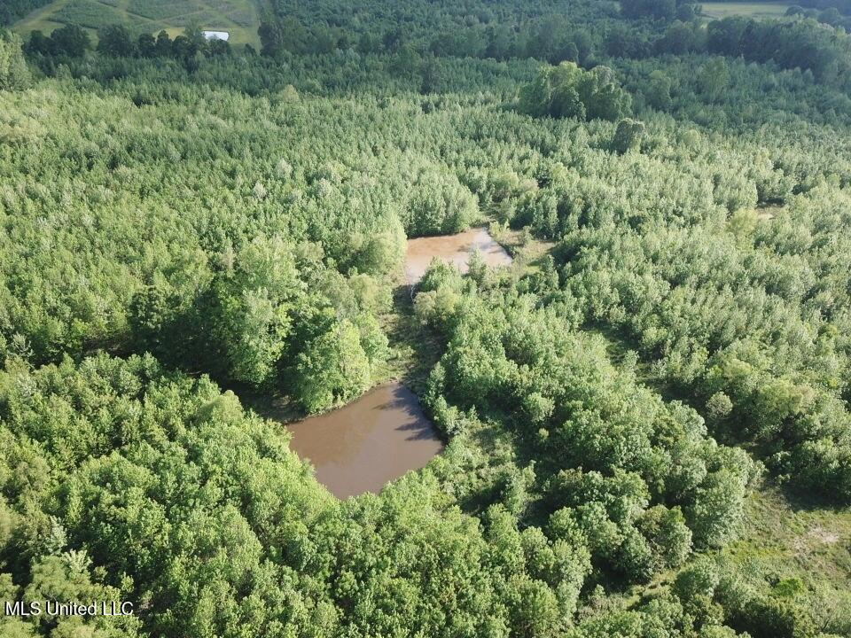 Laughter Road Property Photo 8