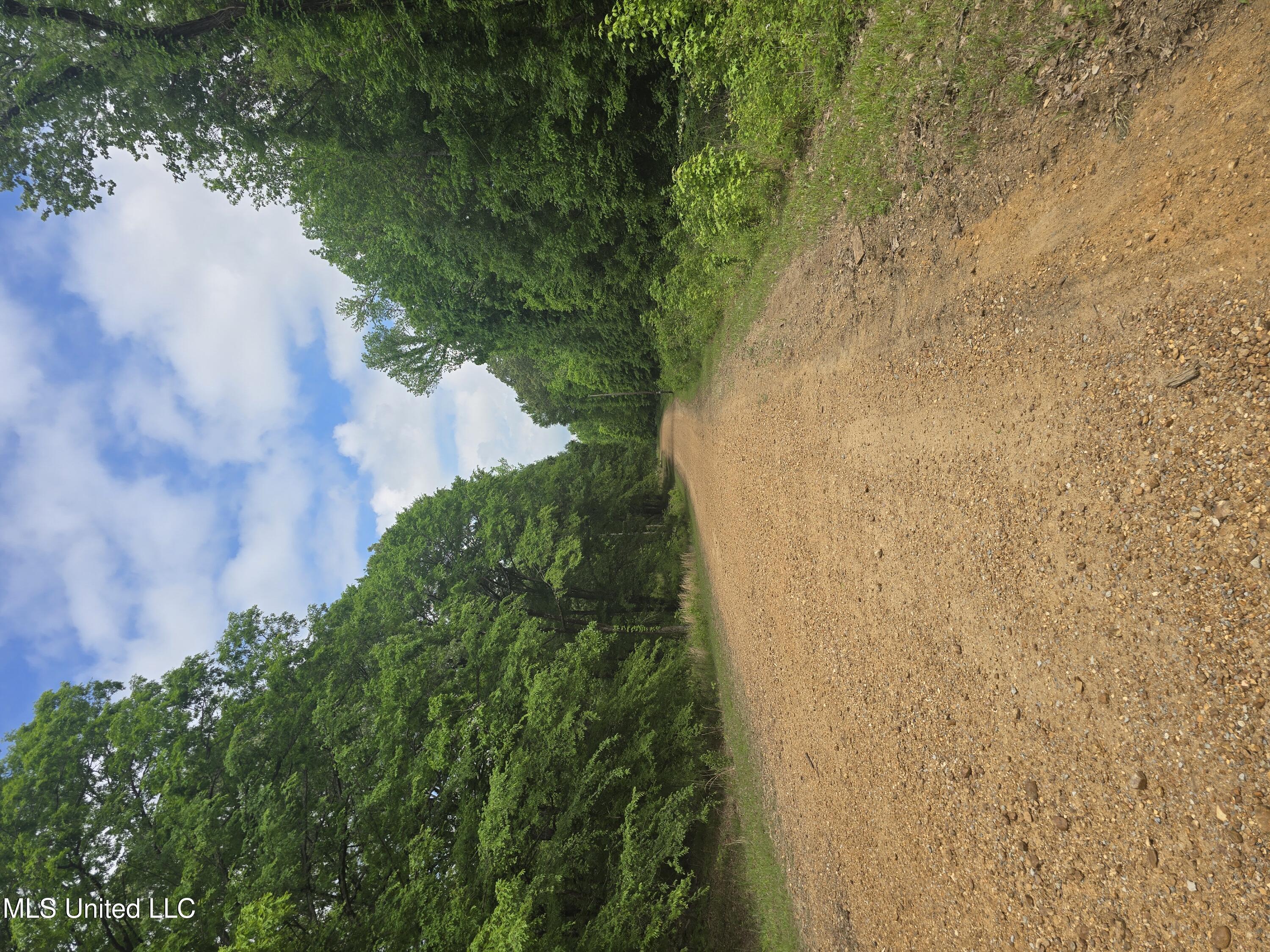 Laughter Road Property Photo 1