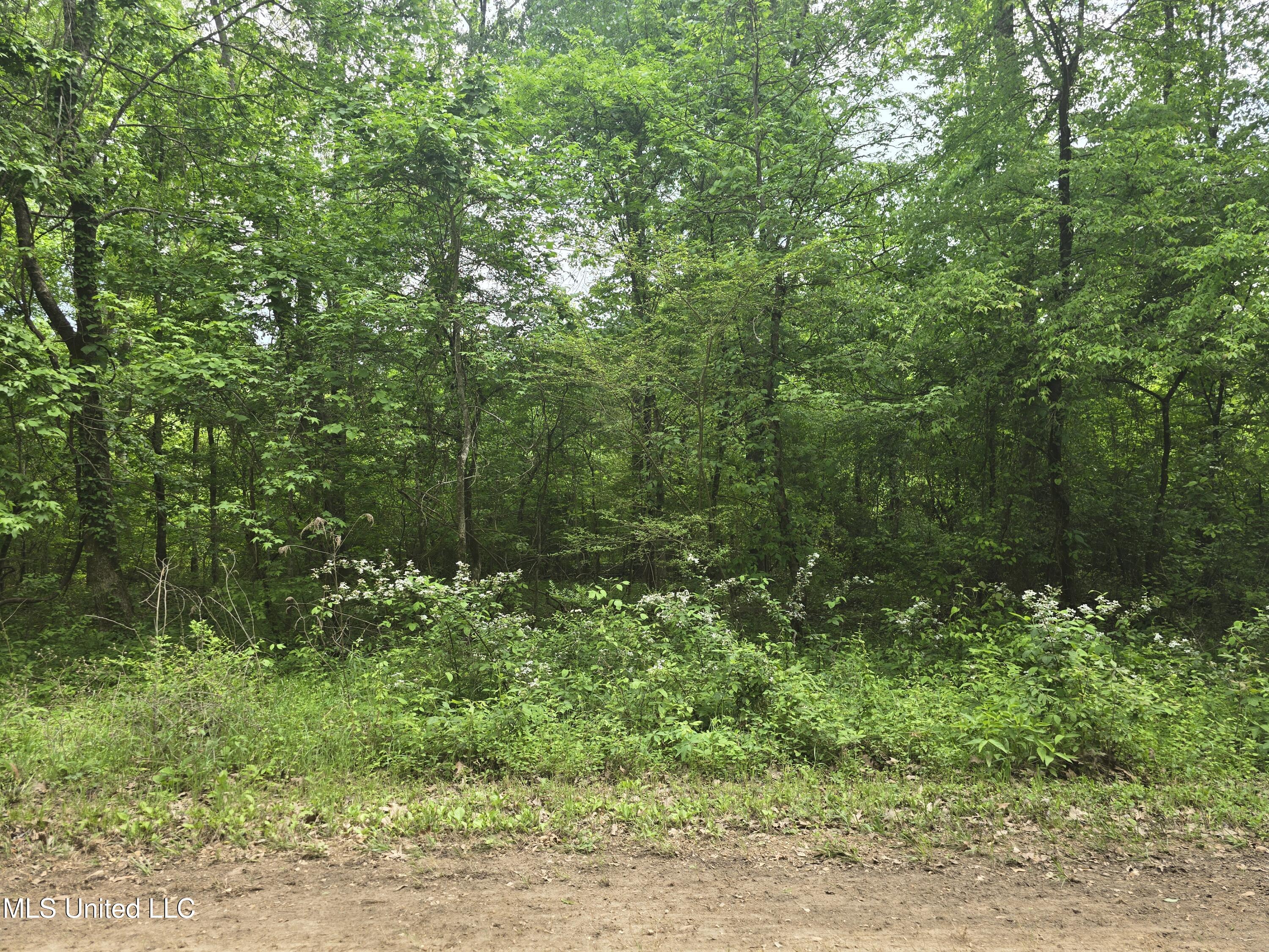 Laughter Road Property Photo 2