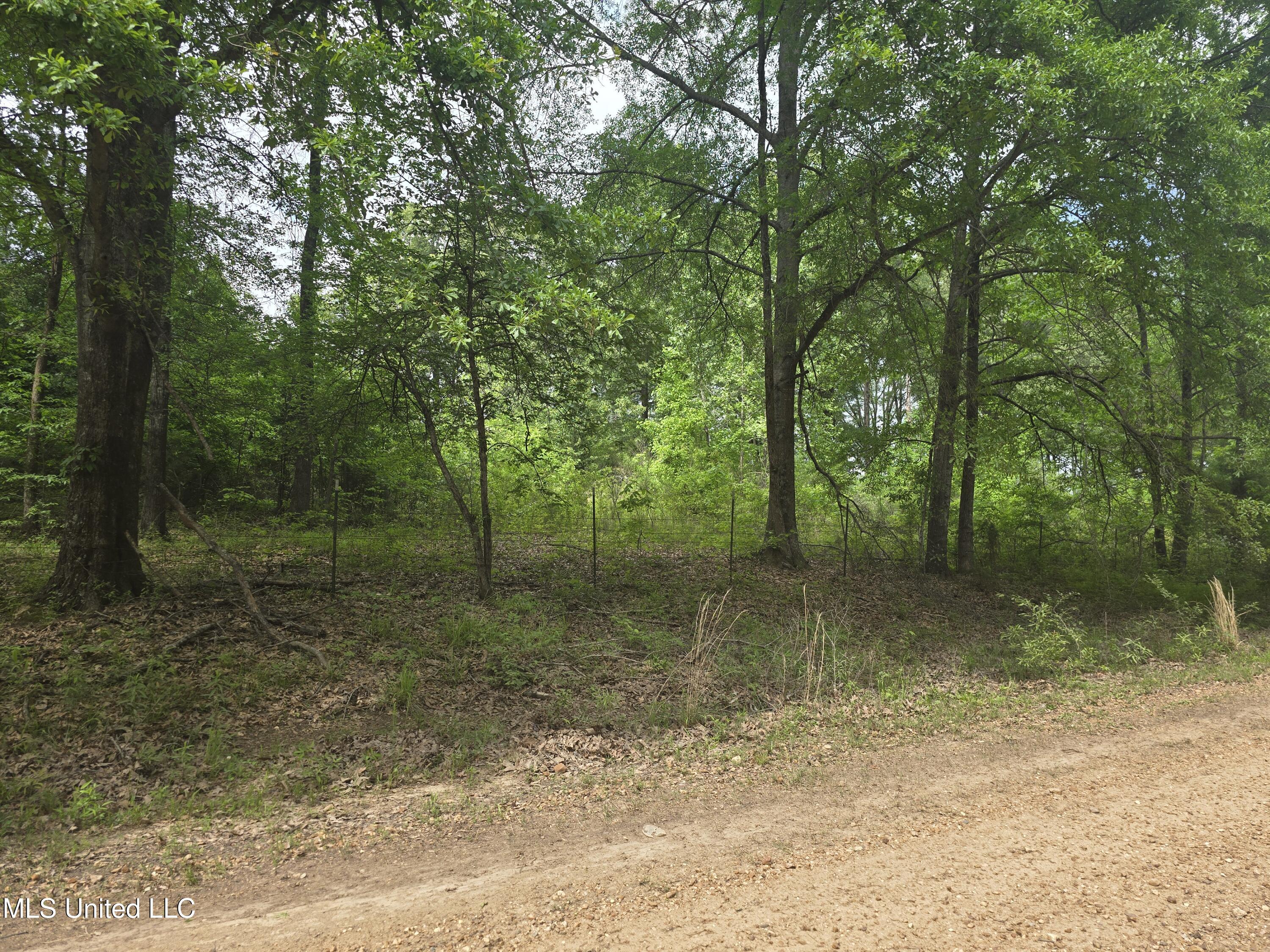 Laughter Road Property Photo 3
