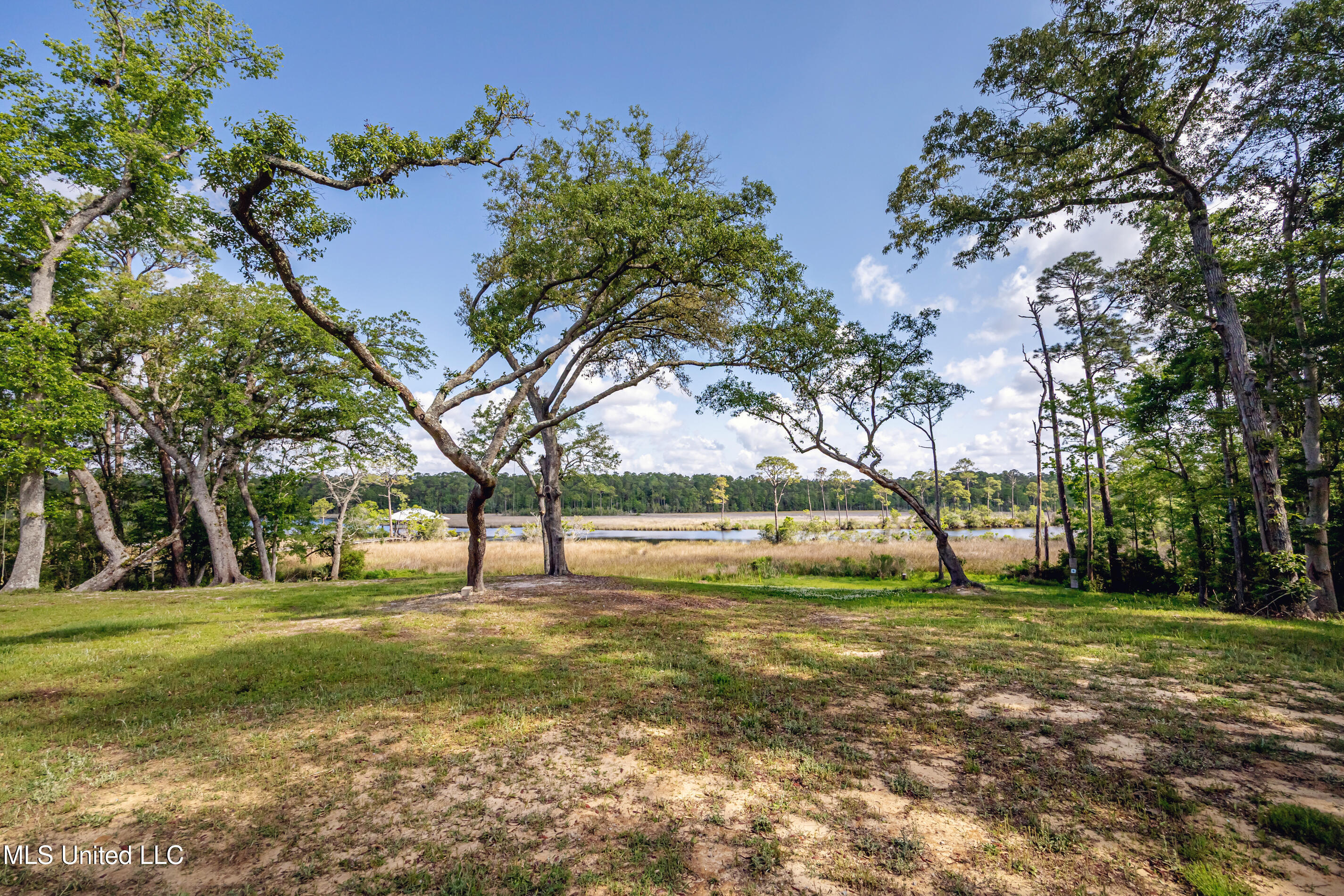 8912 Dixie Street Property Photo 75