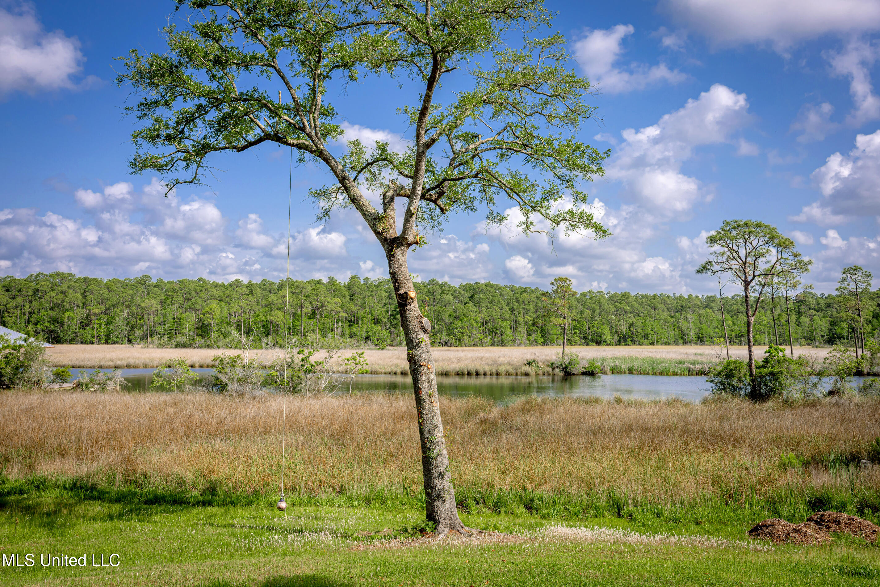 8912 Dixie Street Property Photo 90