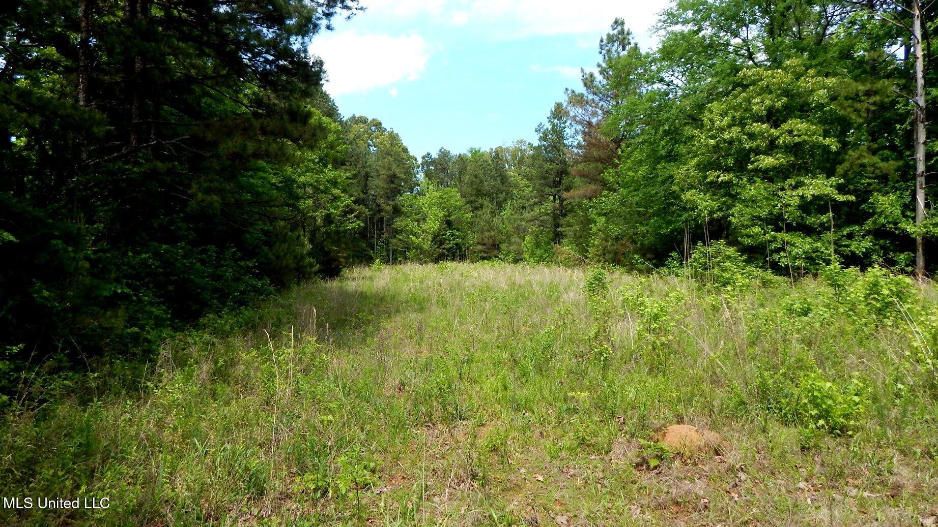 1079 Saulsbury Road Property Photo 1