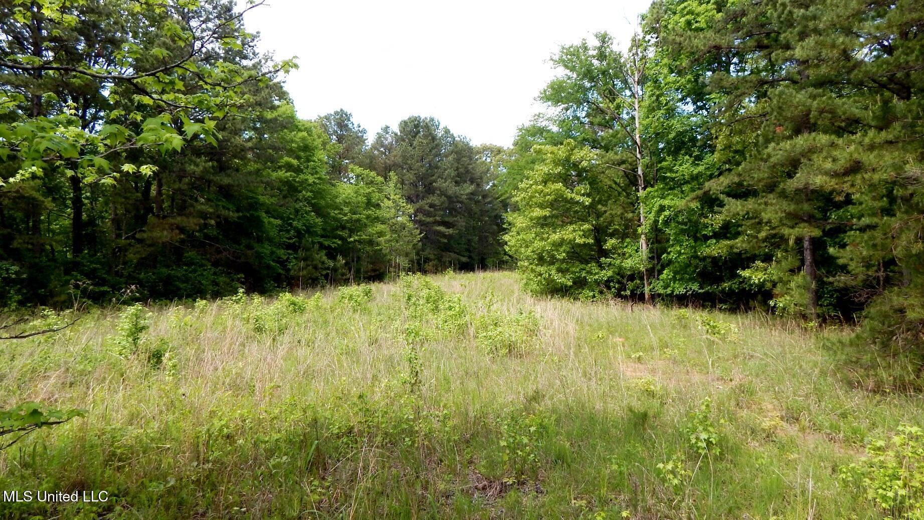 1079 Saulsbury Road Property Photo 5