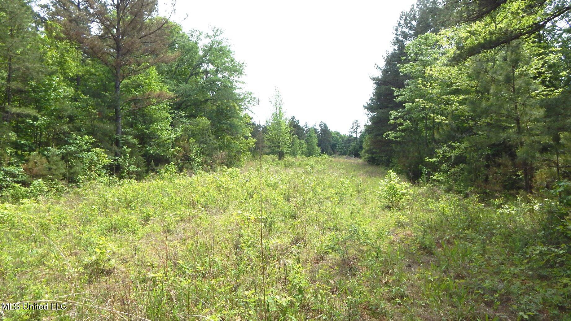 1079 Saulsbury Road Property Photo 6