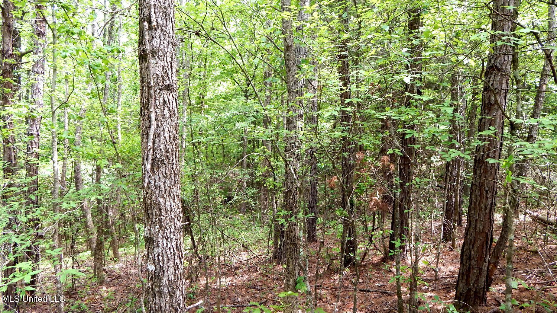 1079 Saulsbury Road Property Photo 7