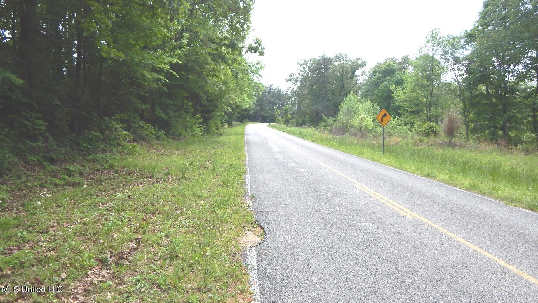 1079 Saulsbury Road Property Photo 9