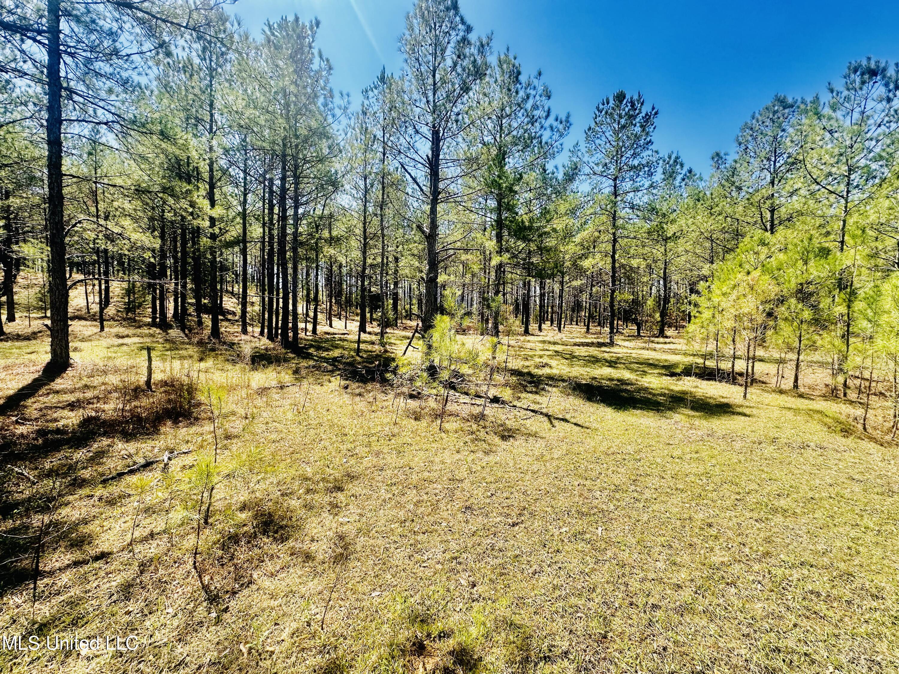00 Little Rock Road Property Photo 10