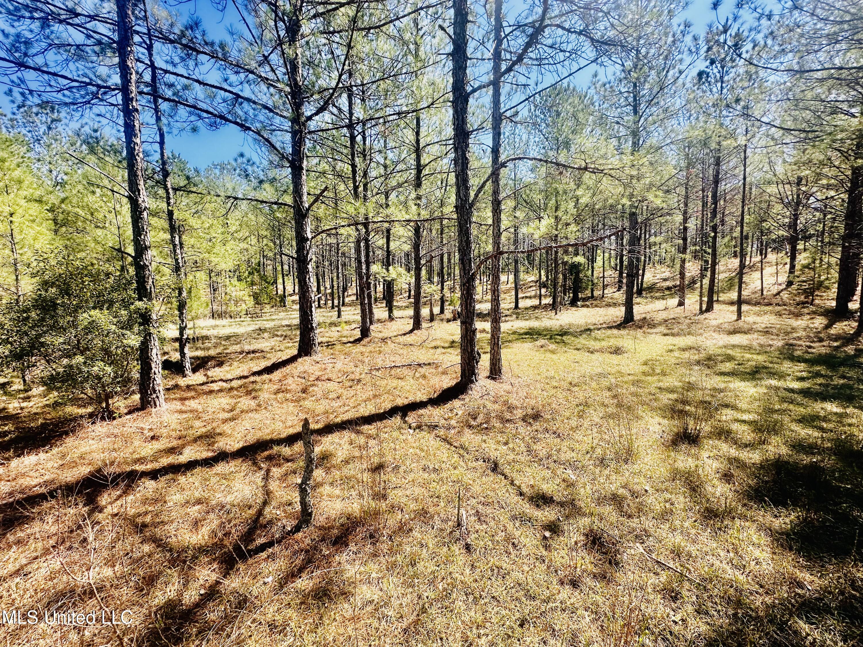 00 Little Rock Road Property Photo 12