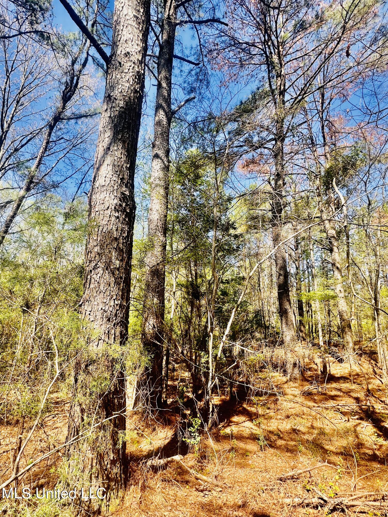 00 Little Rock Road Property Photo 14