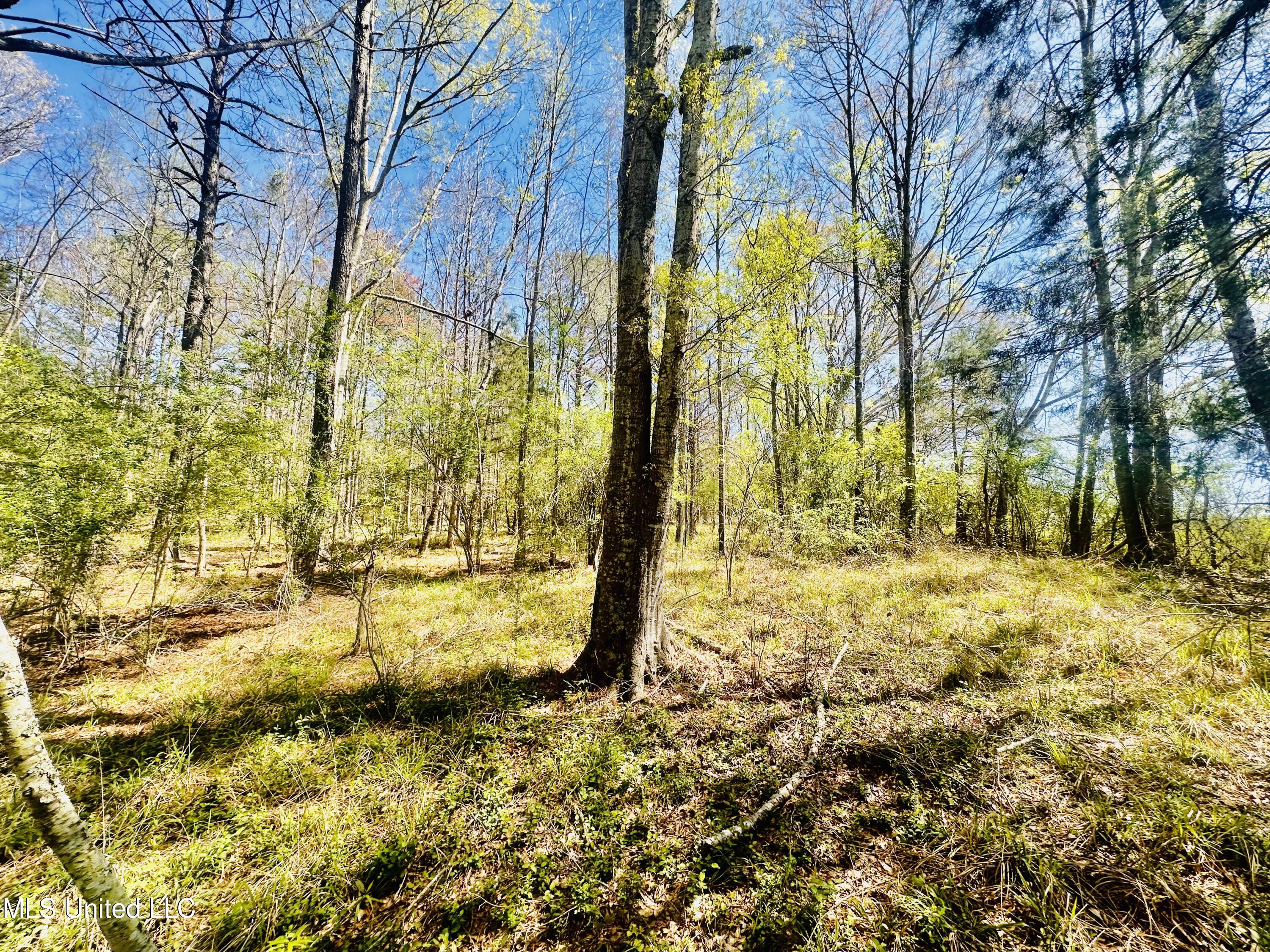 00 Little Rock Road Property Photo 15