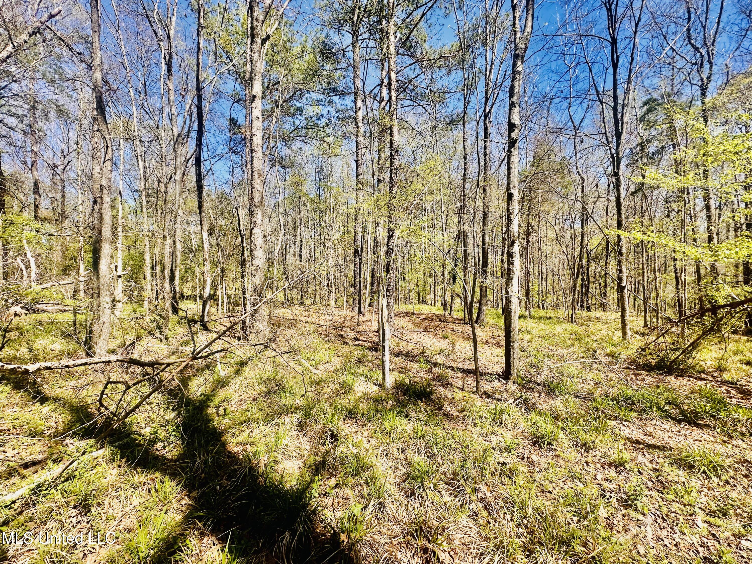 00 Little Rock Road Property Photo 18