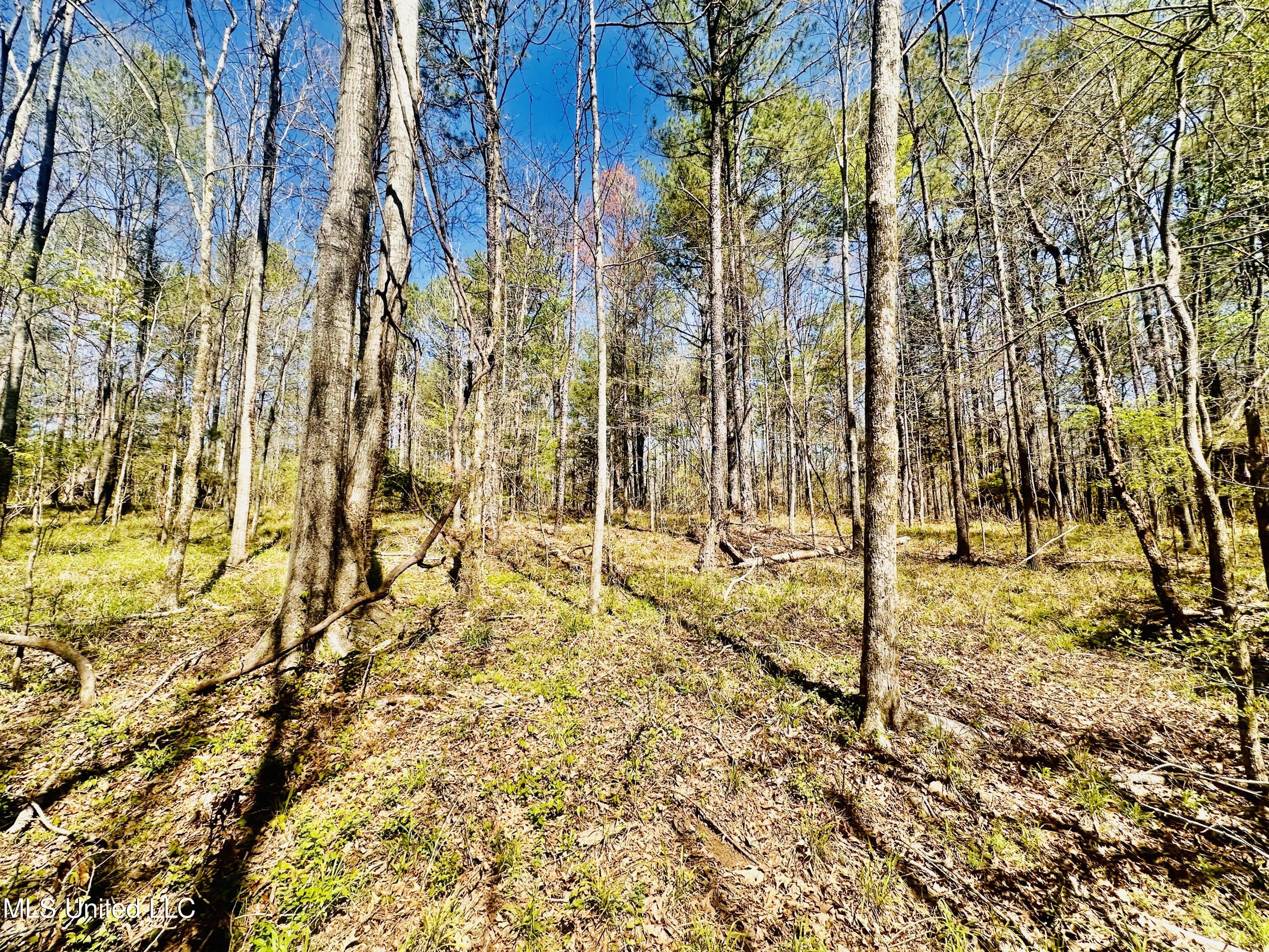00 Little Rock Road Property Photo 20