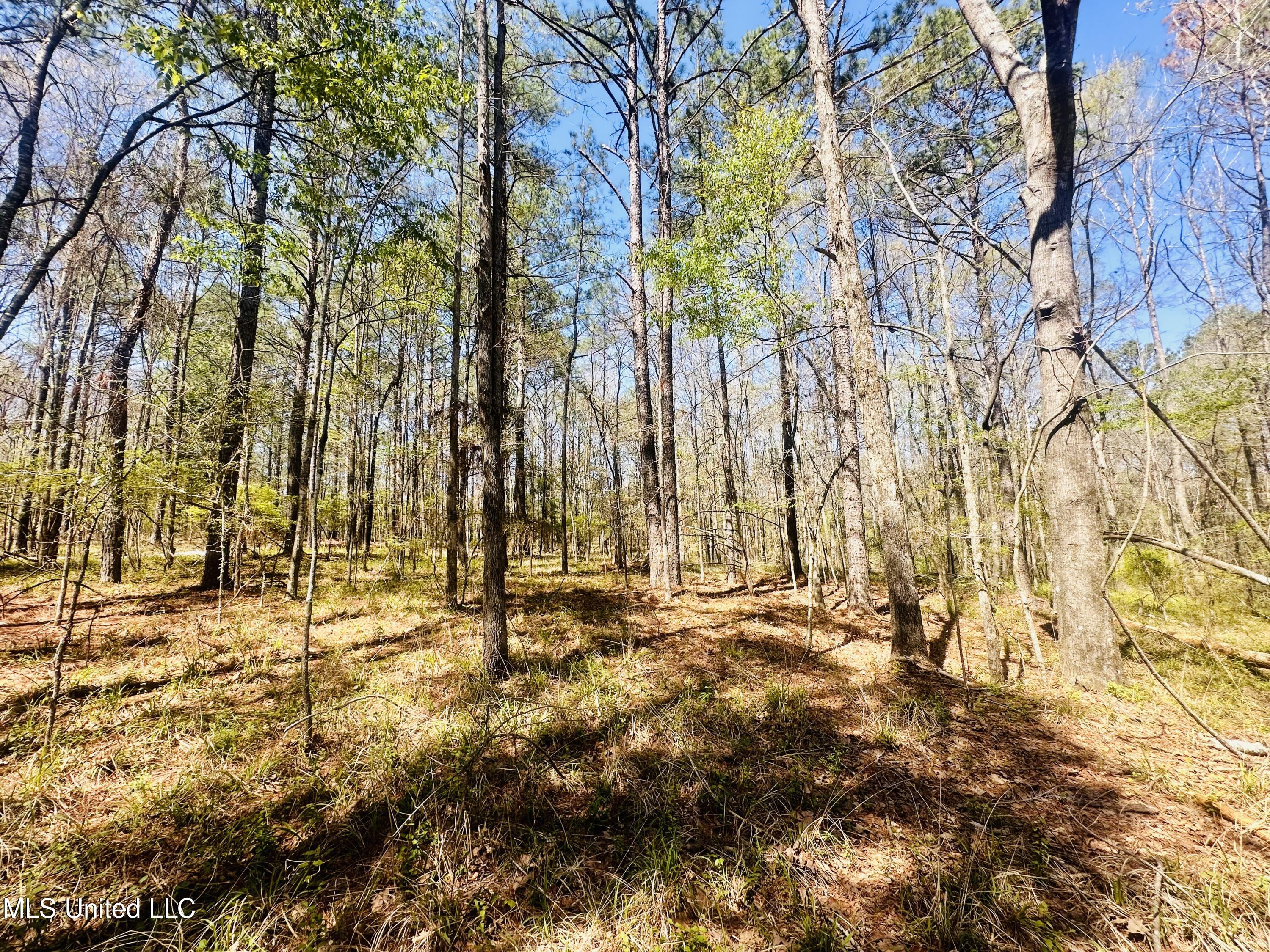 00 Little Rock Road Property Photo 25