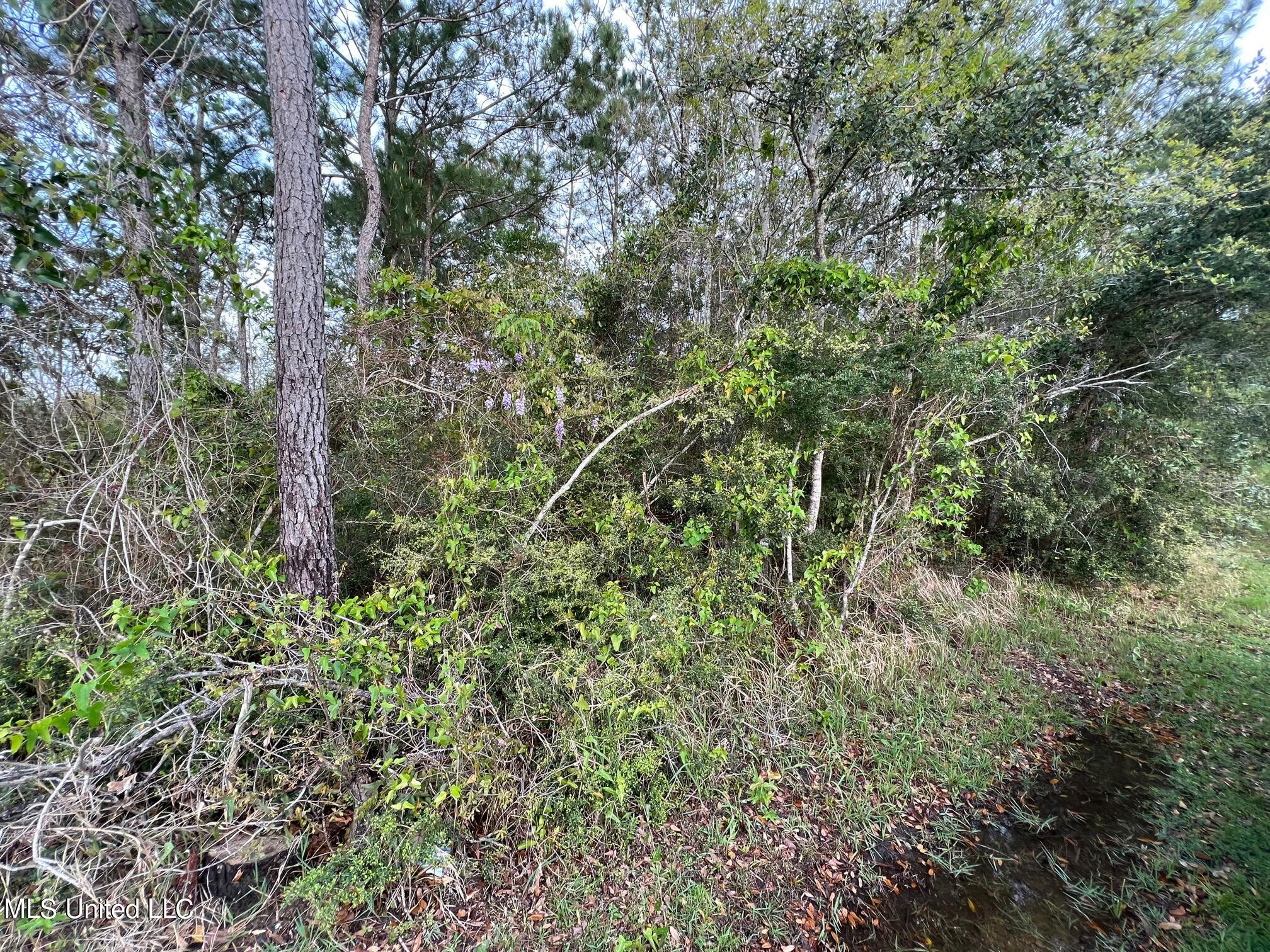 823 Faith Street Property Photo 1