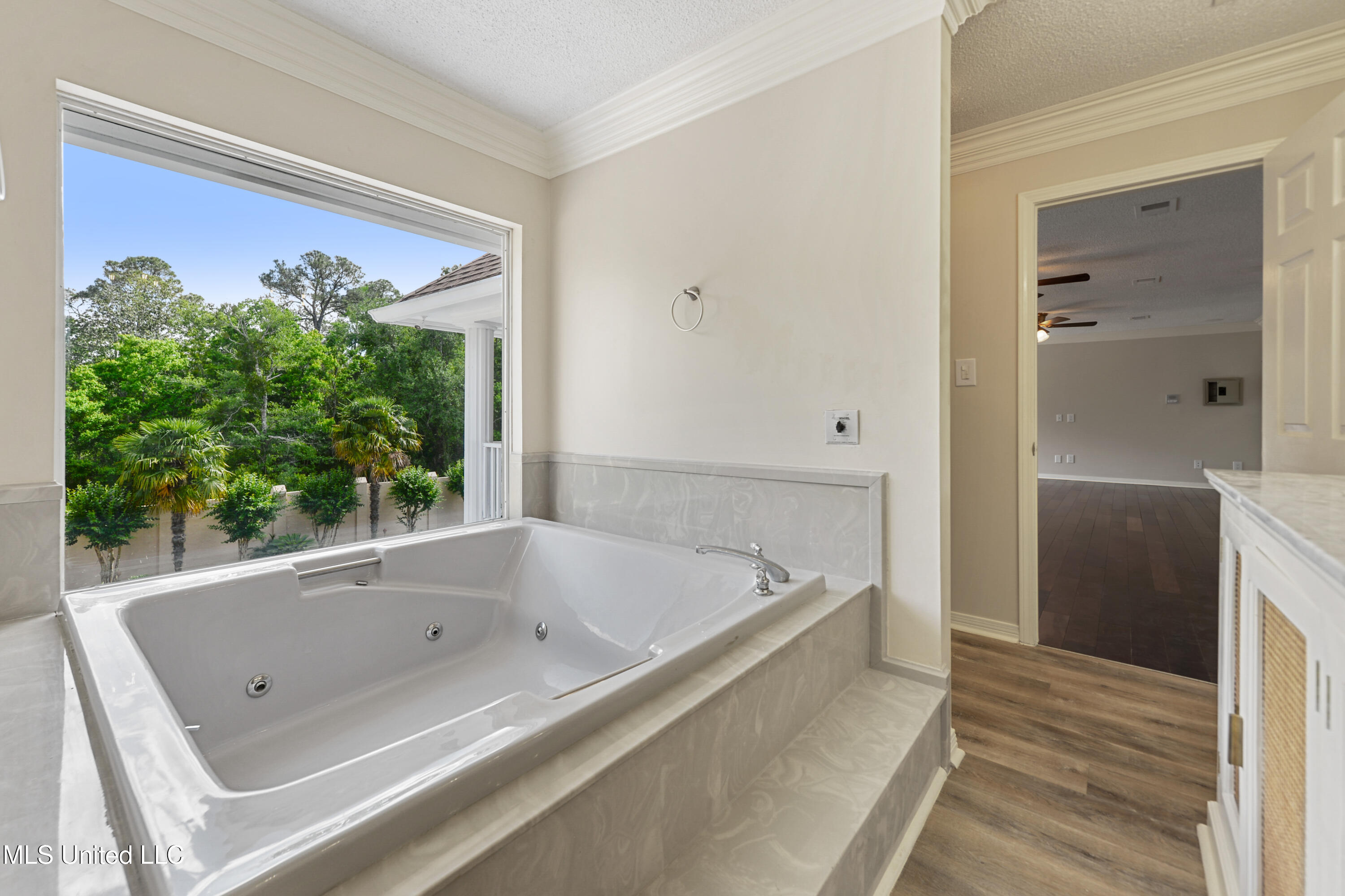 11352 Palm Valley Cove Property Photo 26
