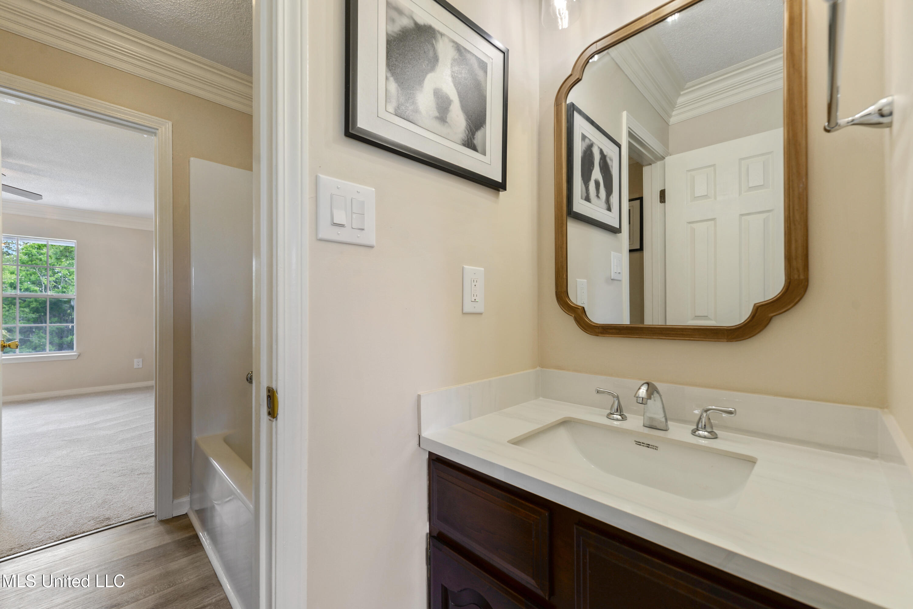 11352 Palm Valley Cove Property Photo 32
