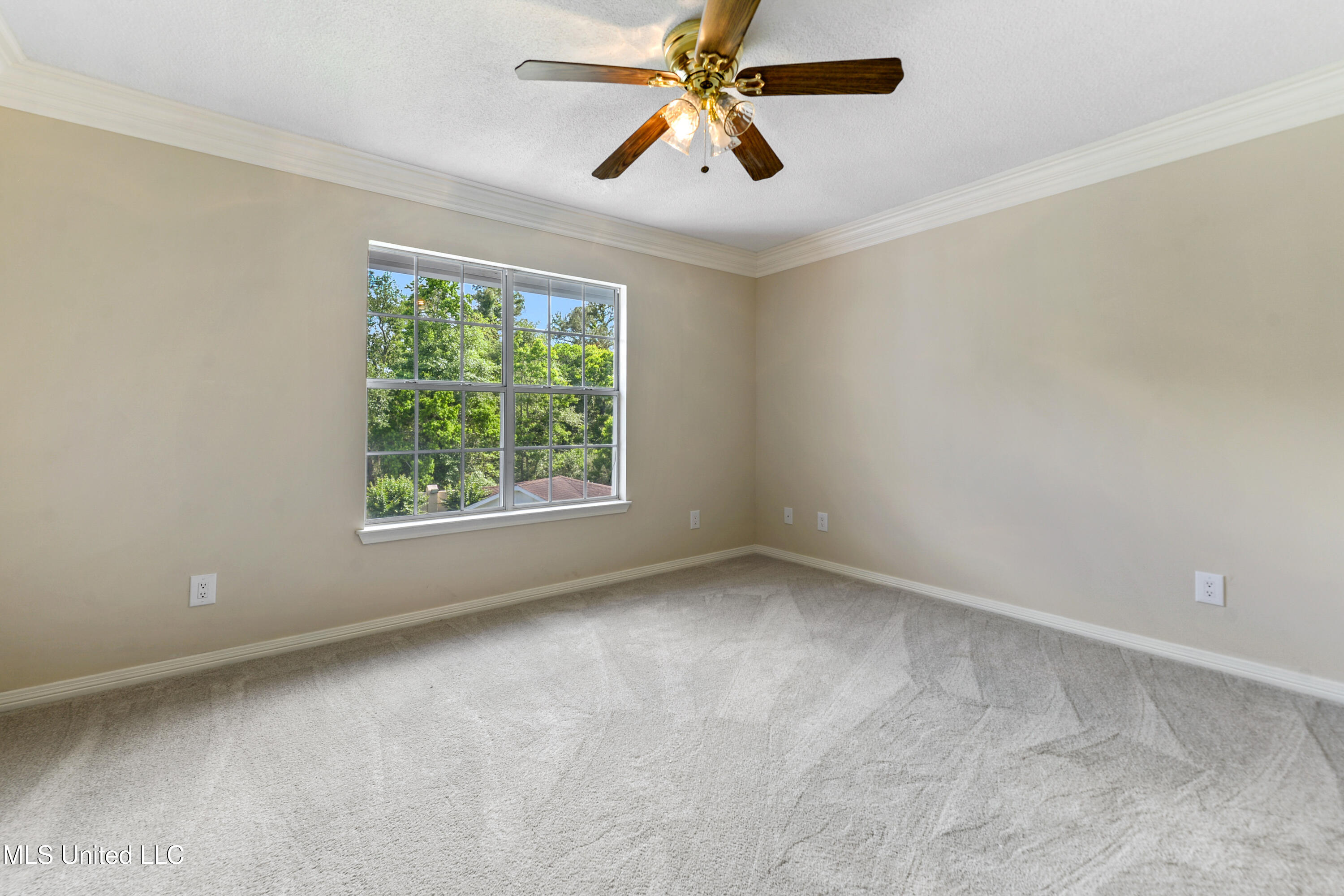 11352 Palm Valley Cove Property Photo 33