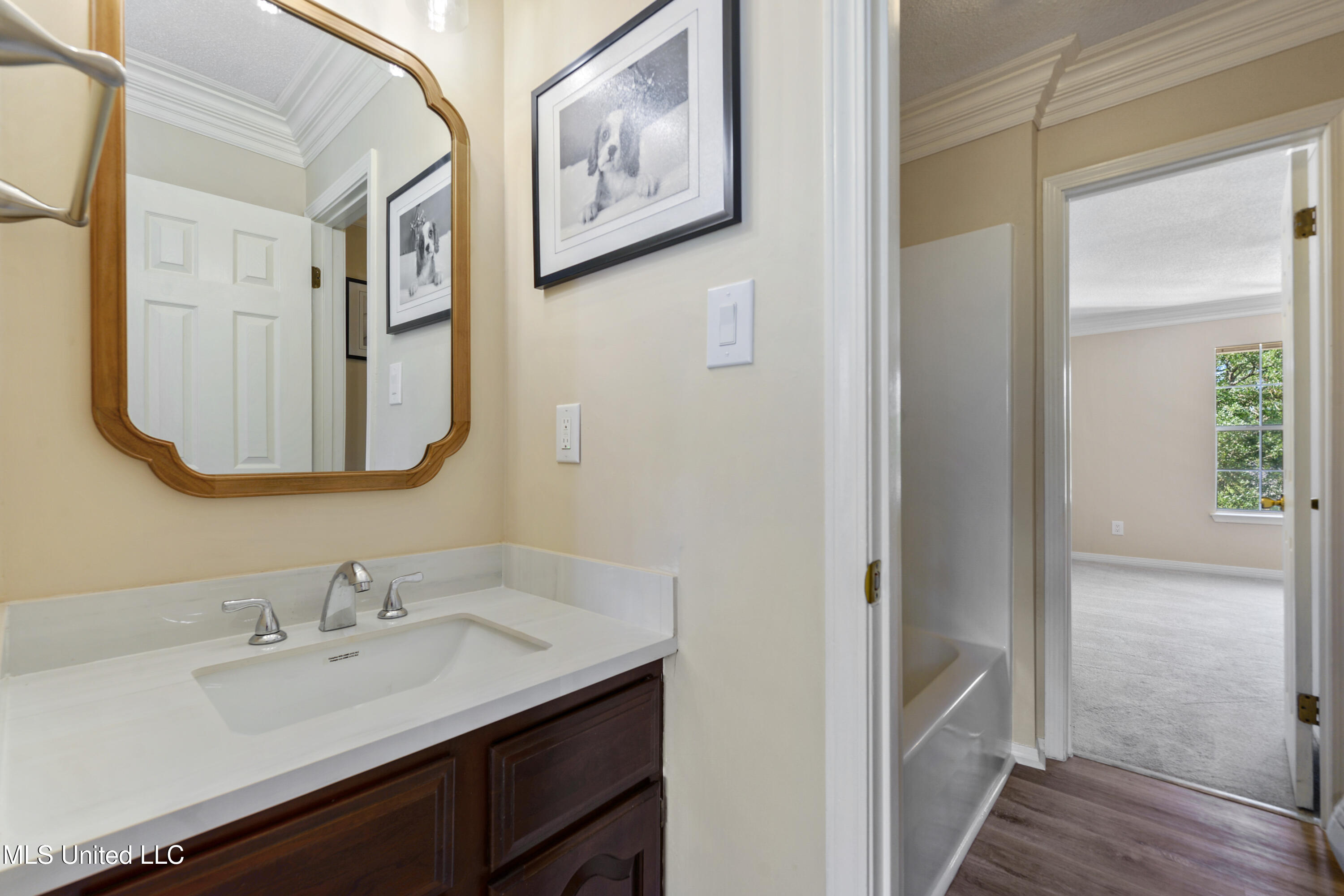 11352 Palm Valley Cove Property Photo 35