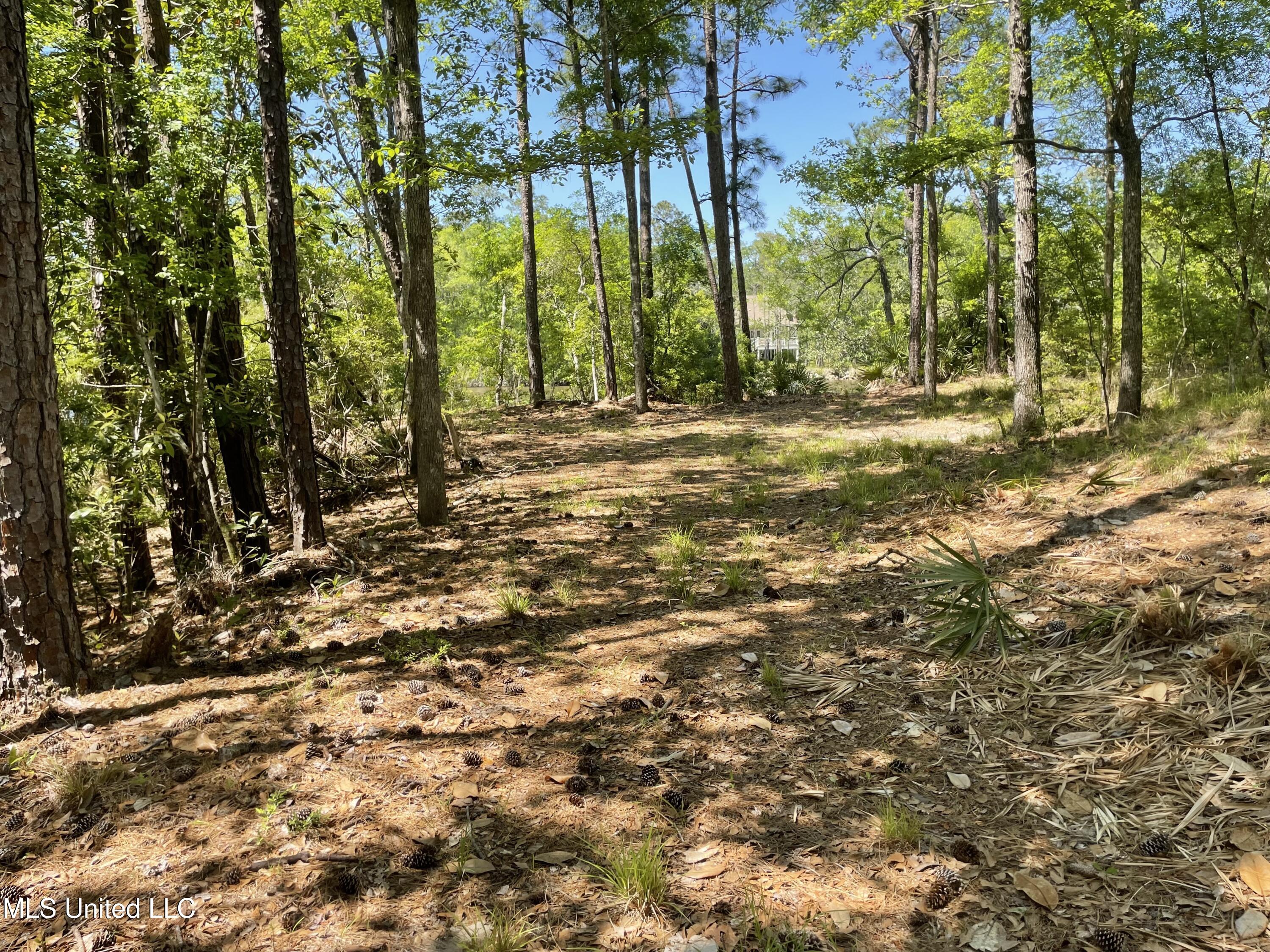 Rio Lado Lane Property Photo 1