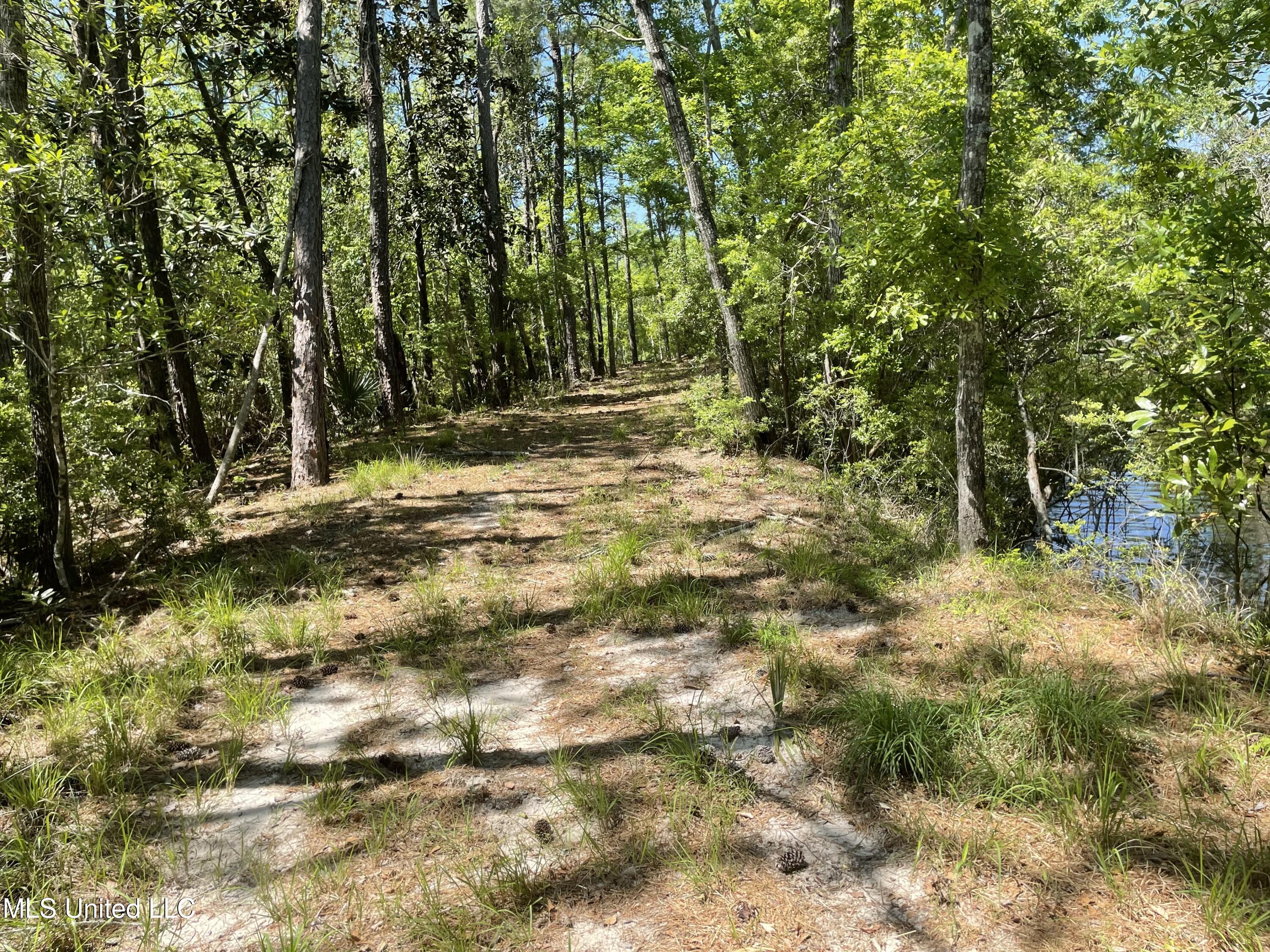Rio Lado Lane Property Photo 3