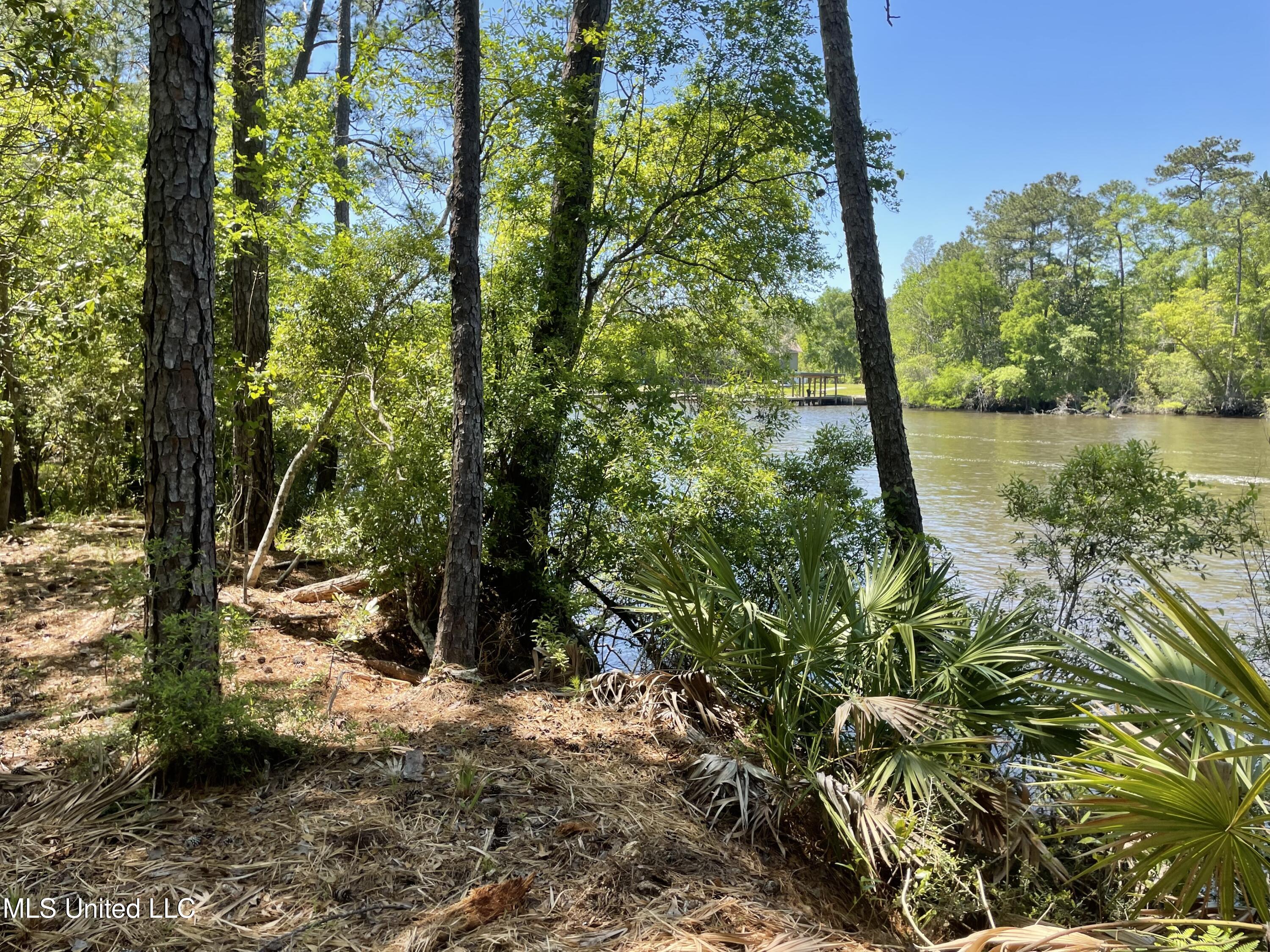 Rio Lado Lane Property Photo 5
